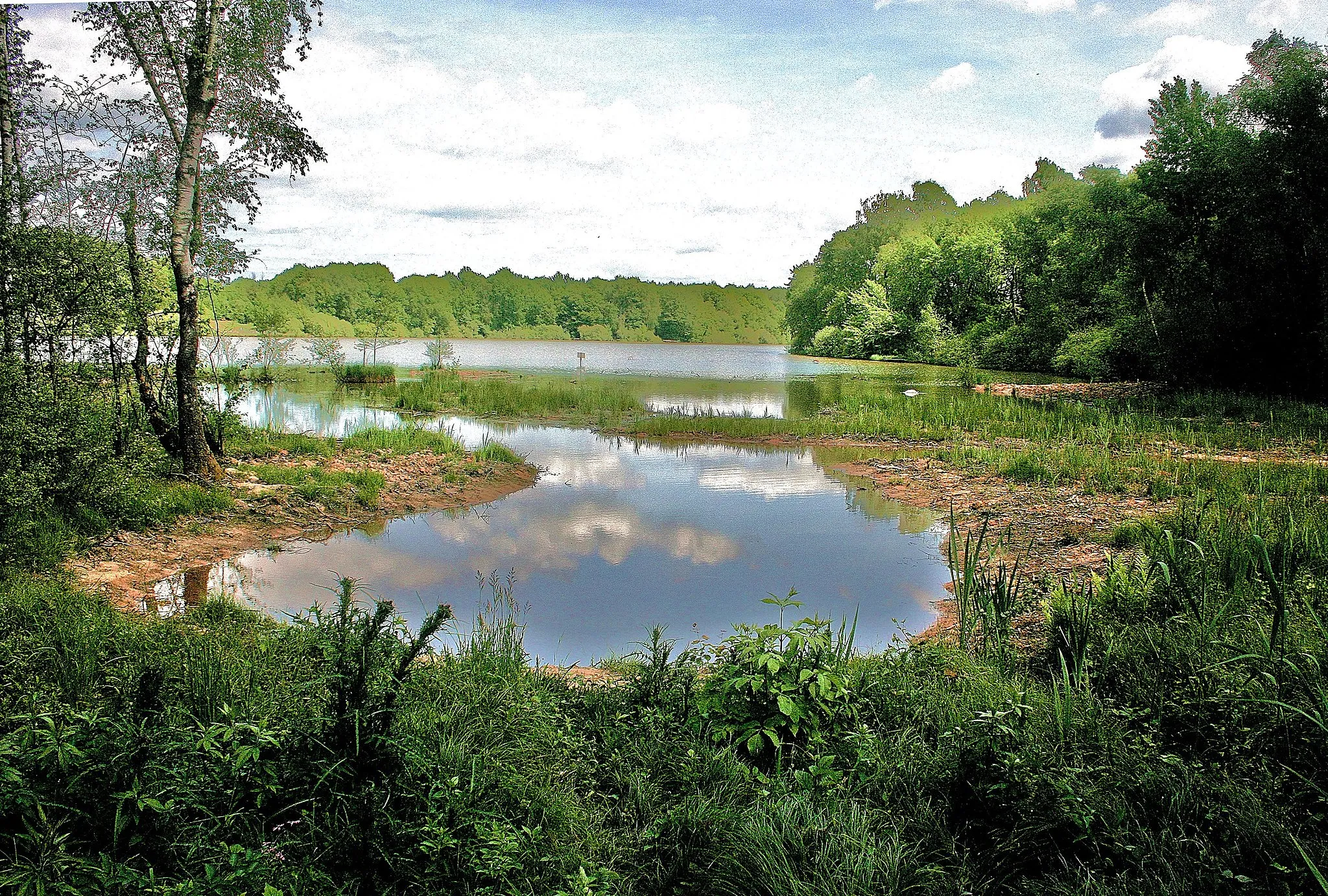 Photo showing: Etang de la Véronne.