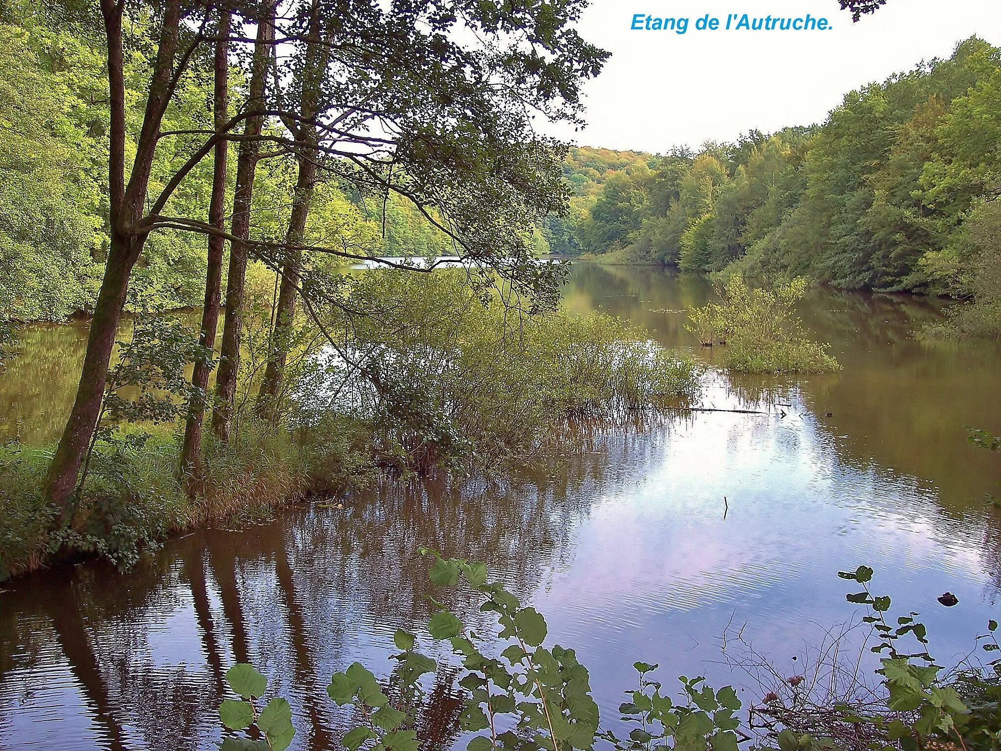 Photo showing: Etang de l'Autruche. Commune de Roppe,territoire de Belfort.