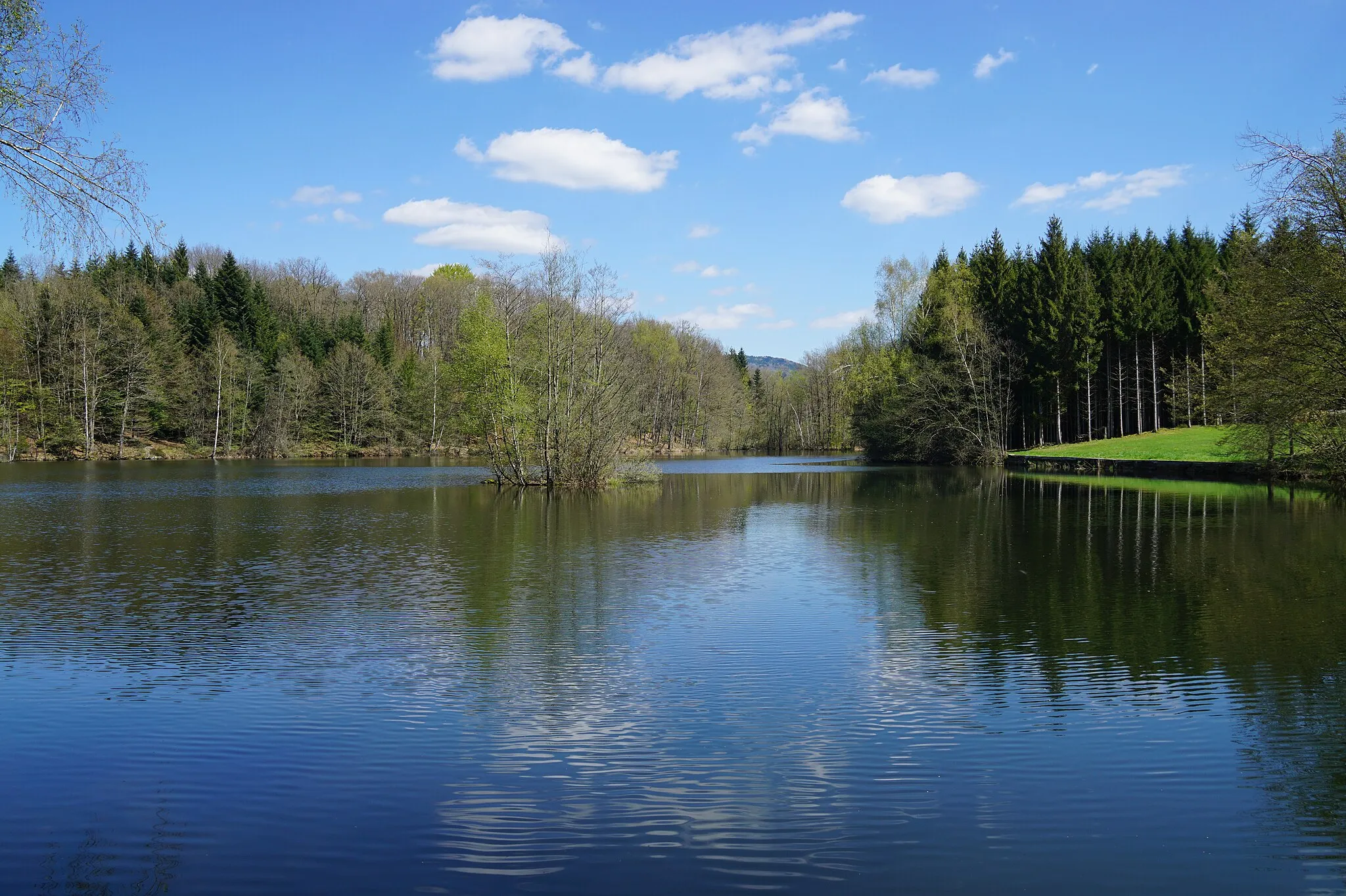 Photo showing: L'étang du Grand Rosbeck à Belonchamp.