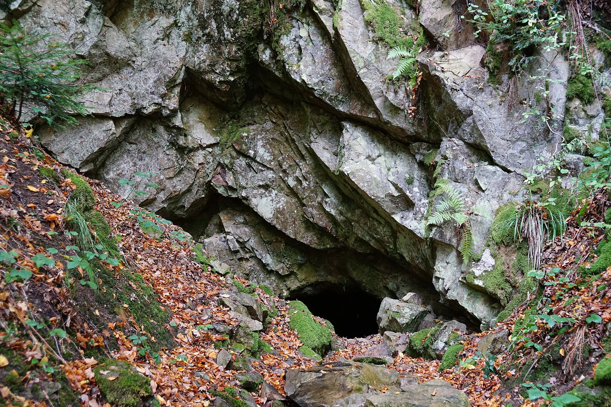 Photo showing: La mine de plomb du Laurier à Plancher-les-mines.
