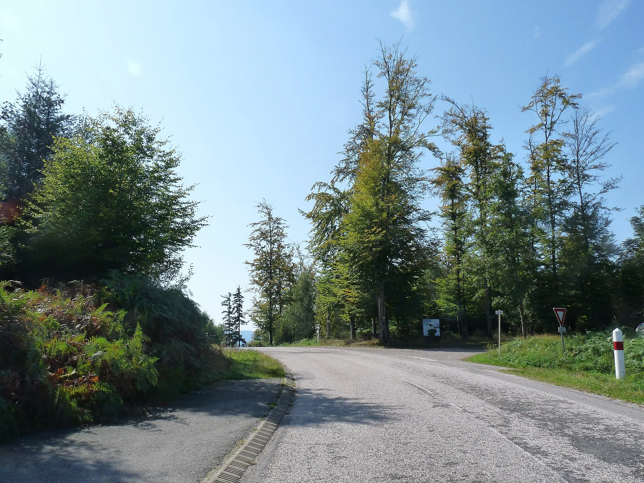 Photo showing: Col de Mandray (Vosges)