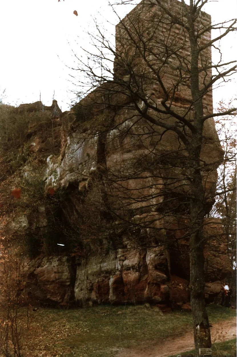 Photo showing: Burg Blumenstein (Pfalz)