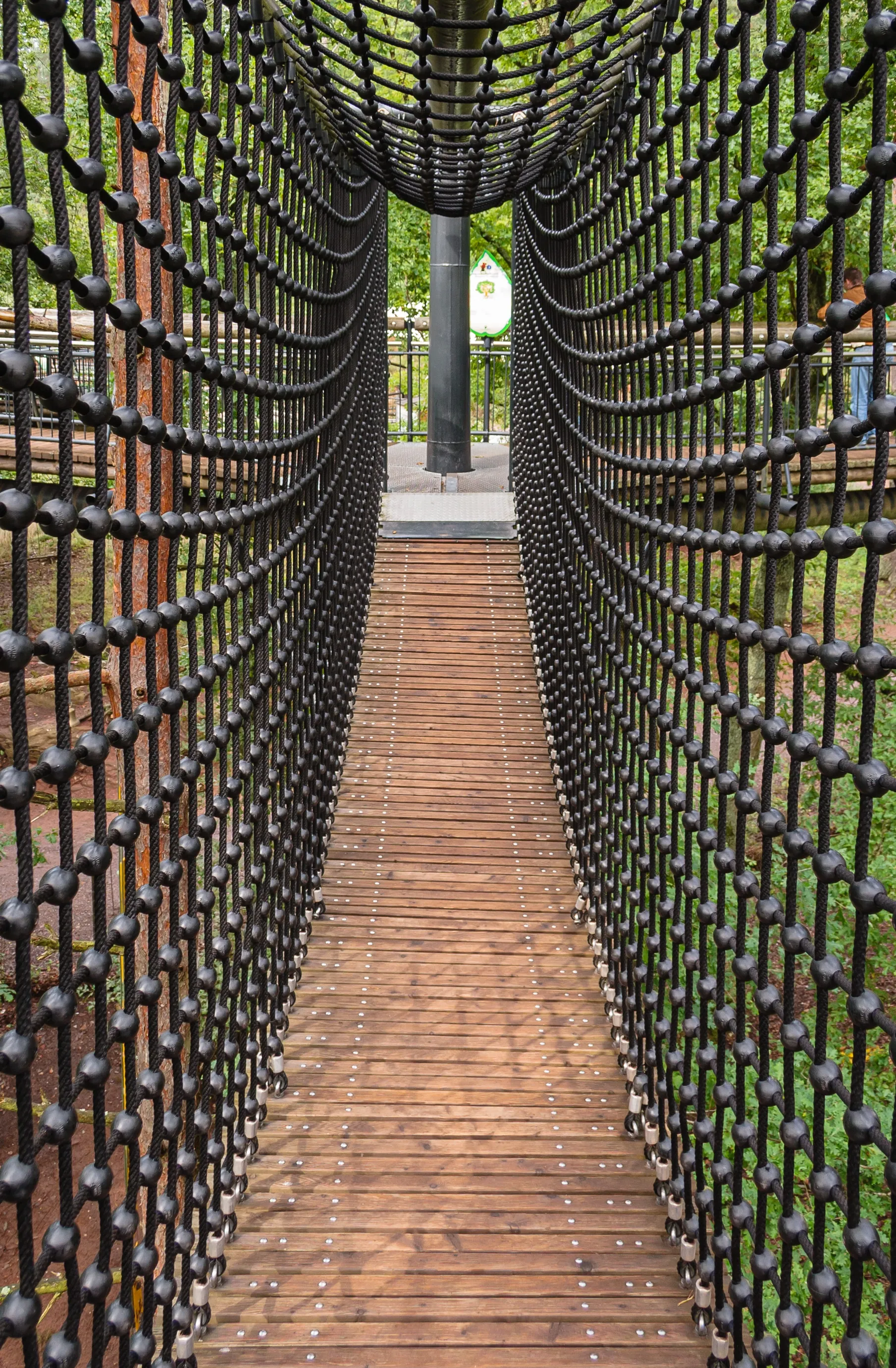 Photo showing: Jungle bridge in the canopy walkway of the Biosphere House Palatinate Forest / Northern Vosges