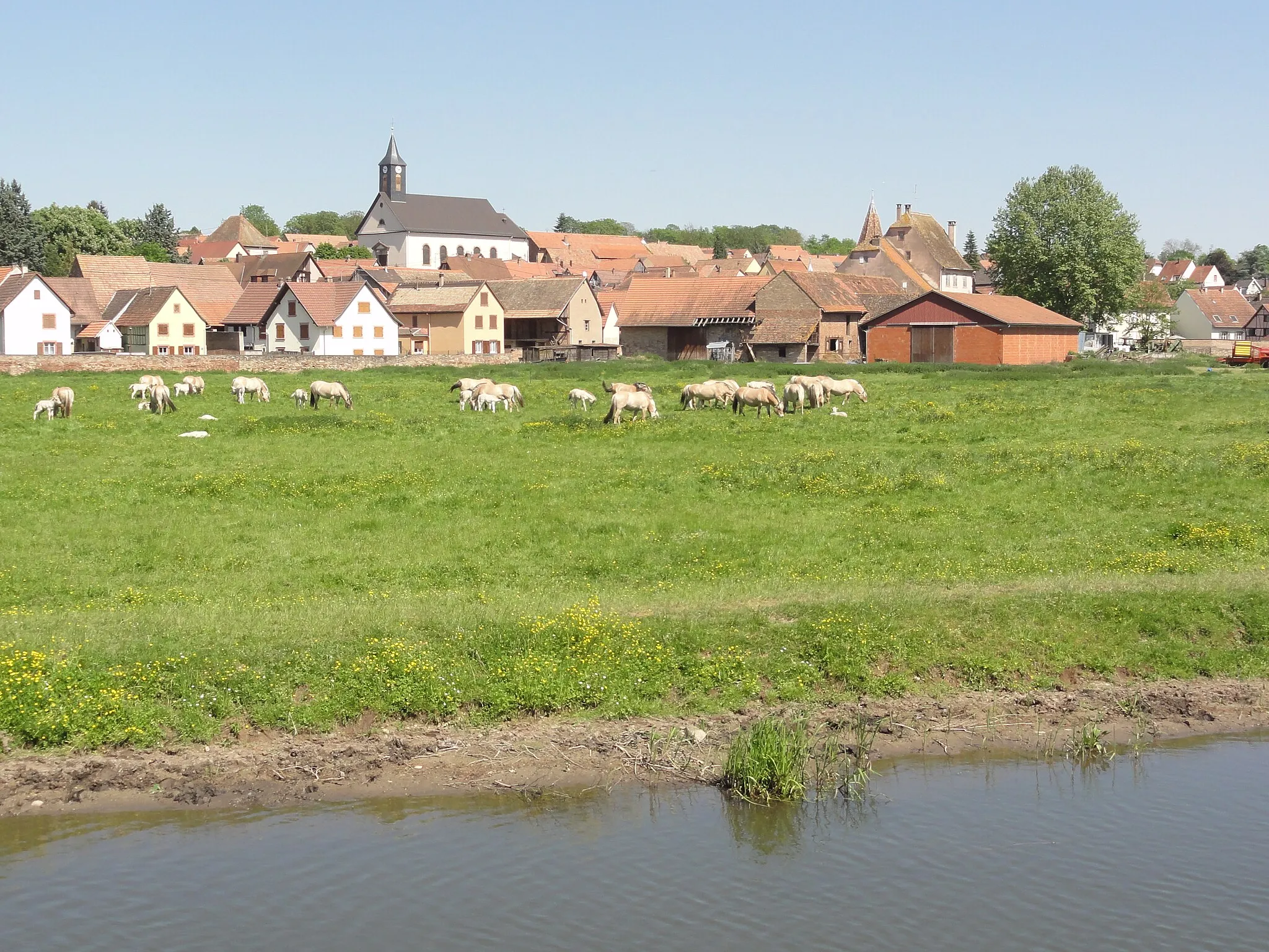 Photo showing: Ernolsheim (Bas-Rhin) vue depuis la véloroute du canal de la Bruche