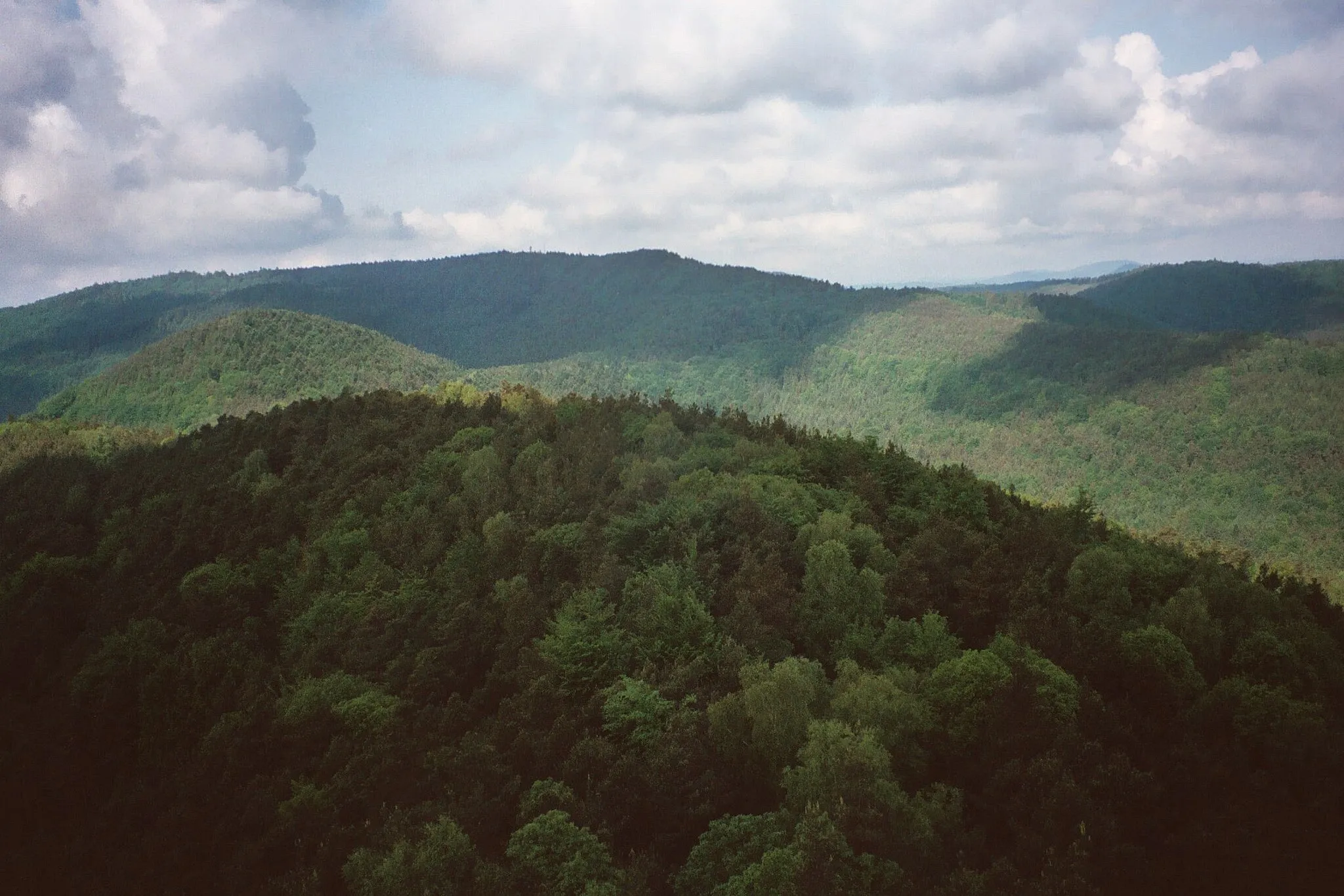 Photo showing: Dörrenbach, view from the Stäffelsberg to the forests