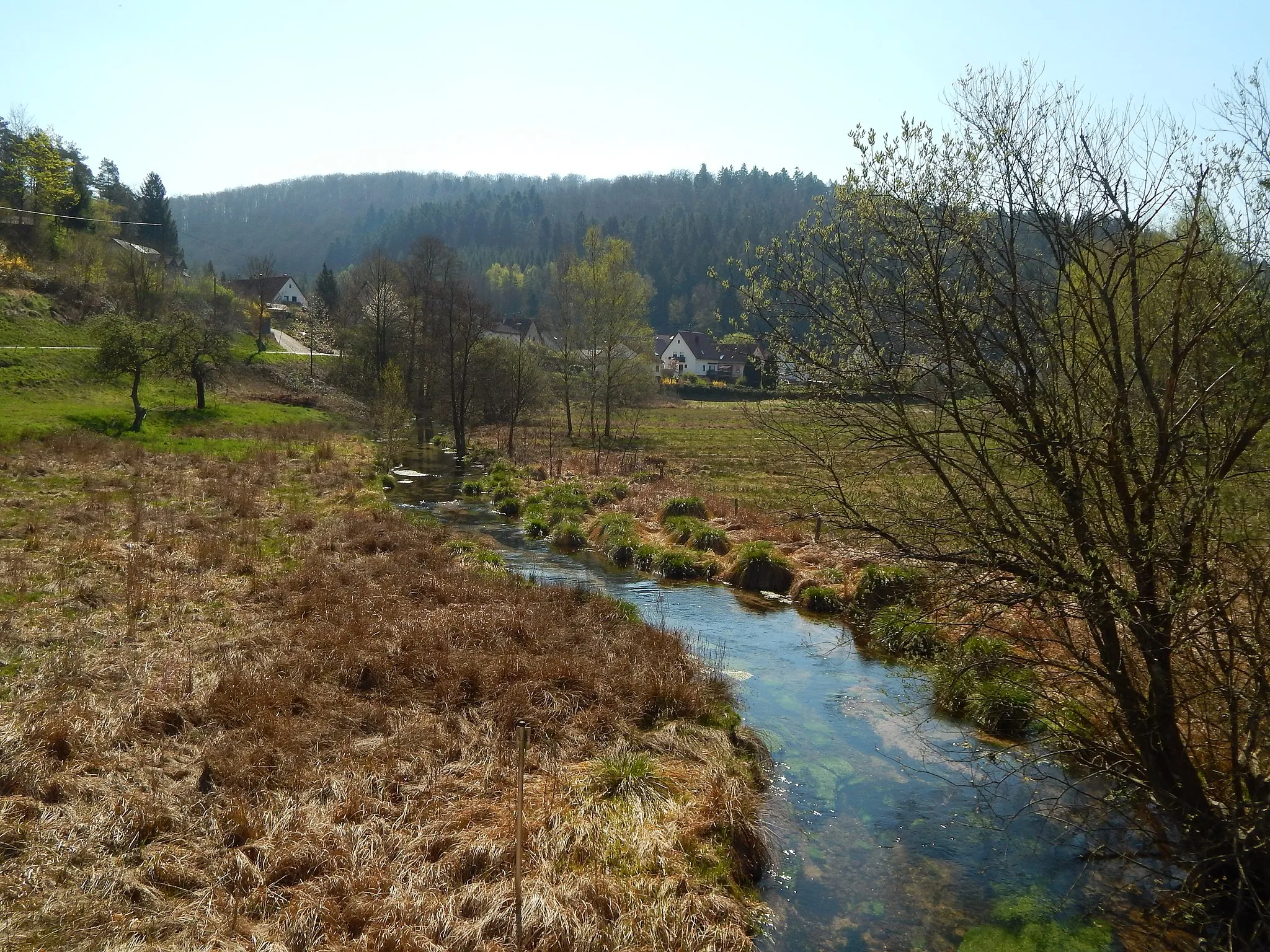 Photo showing: Bach bei Salzwoog (Biosphärenreservat Pfälzer Wald)