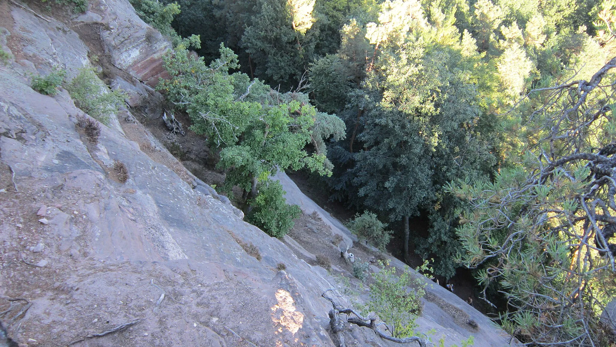 Photo showing: Rocher d'escalade d'Obersteinbach, vue du sommet vers le bas