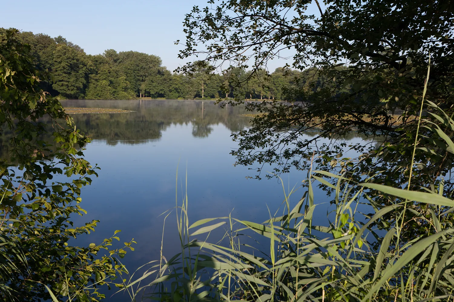 Photo showing: Etang du milieu à Bonfol (Jura)