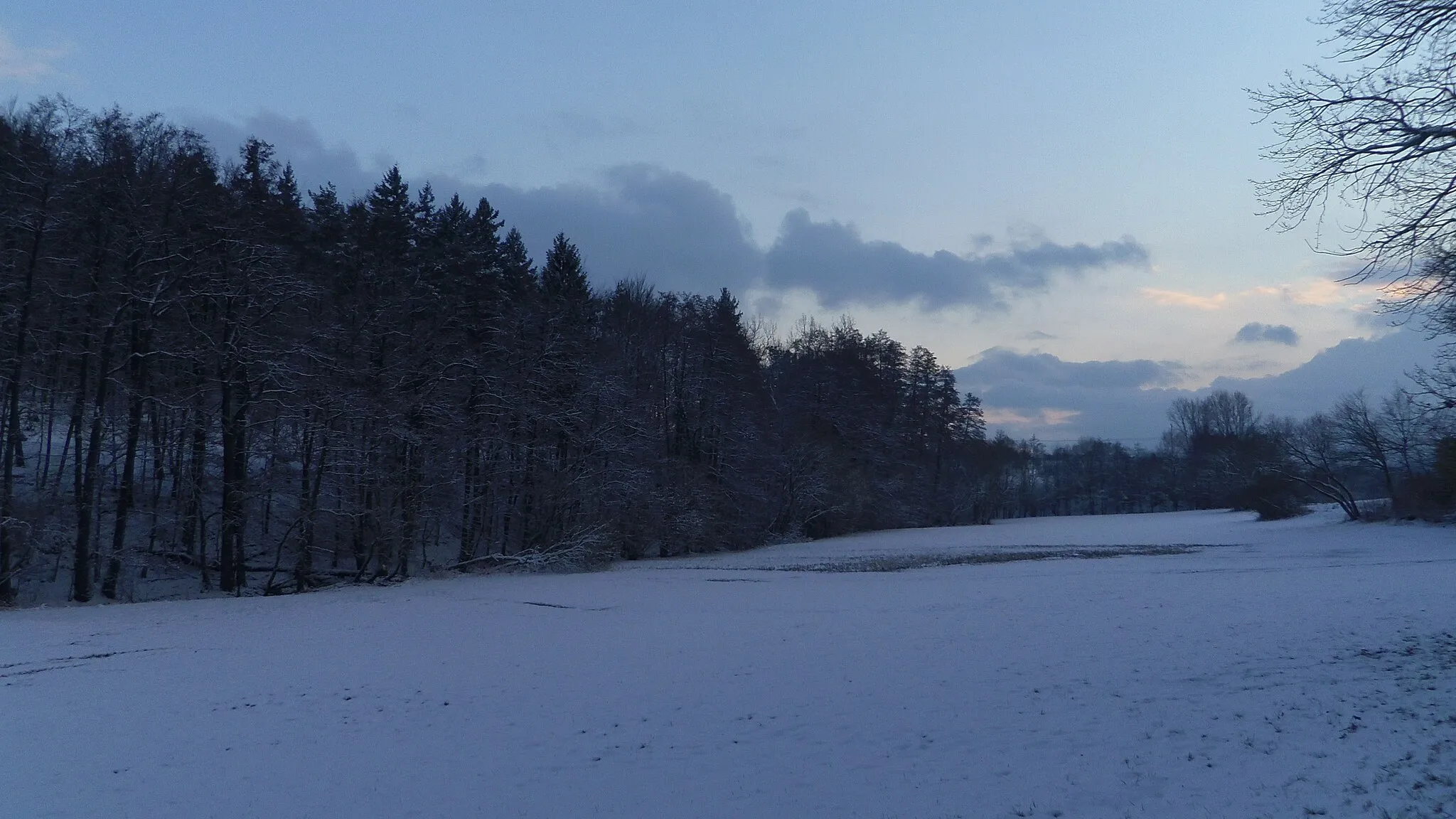 Photo showing: Winter scenery close to Auerbach (Karlsbad), Germany