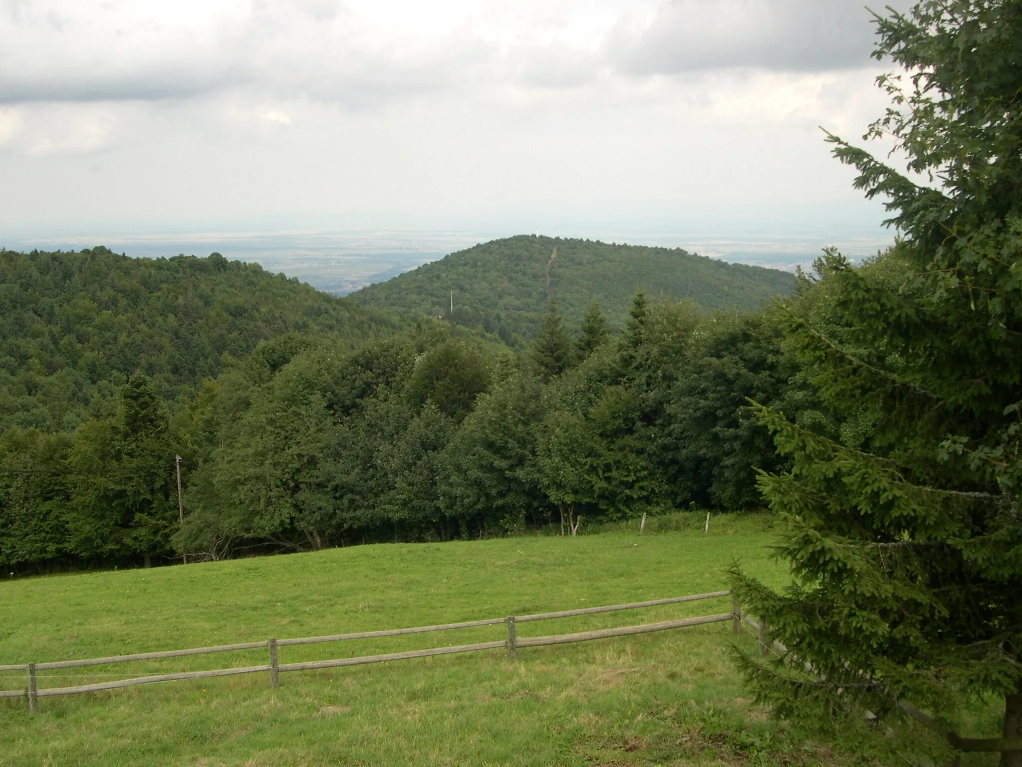 Photo showing: * Vue sur le sommet du Vieil Armand, 956 m, dans le massif des Vosges, Haut-Rhin.