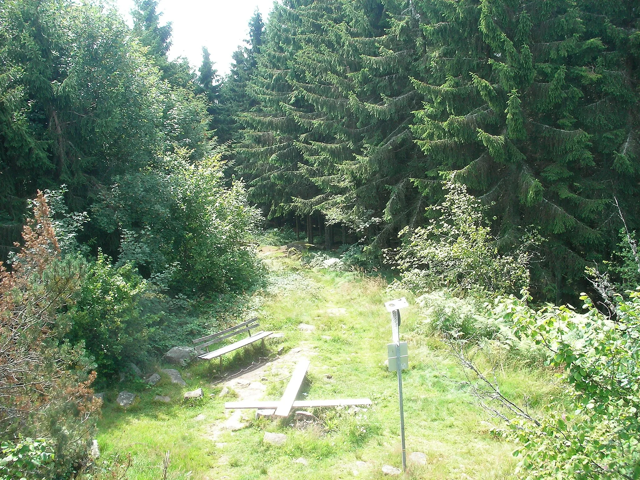 Photo showing: Vue depuis l'Ungersberg (901 m) à Albé (Bas-Rhin, France).