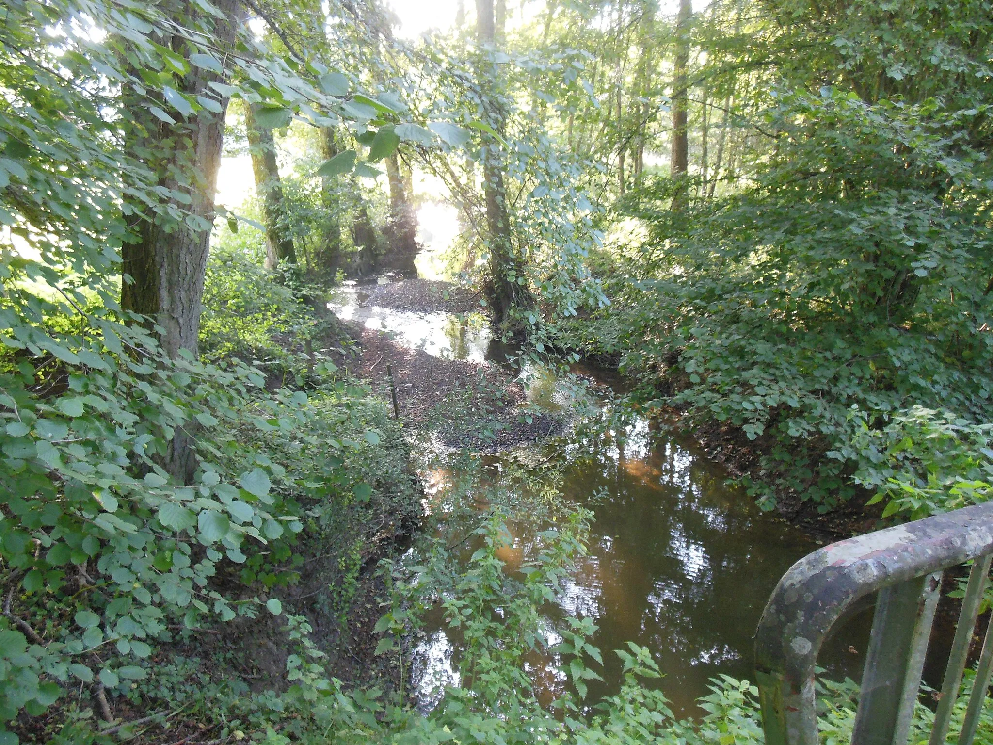 Photo showing: Buttenbach-Petersbach Brook in Rahling