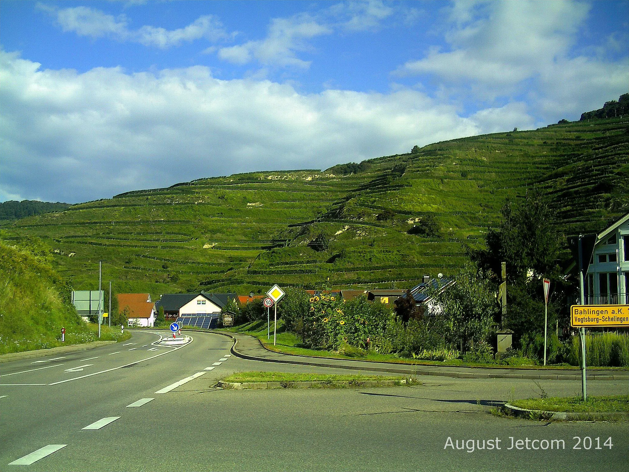 Photo showing: Oberbergen vineyards in Kaisertuhl.