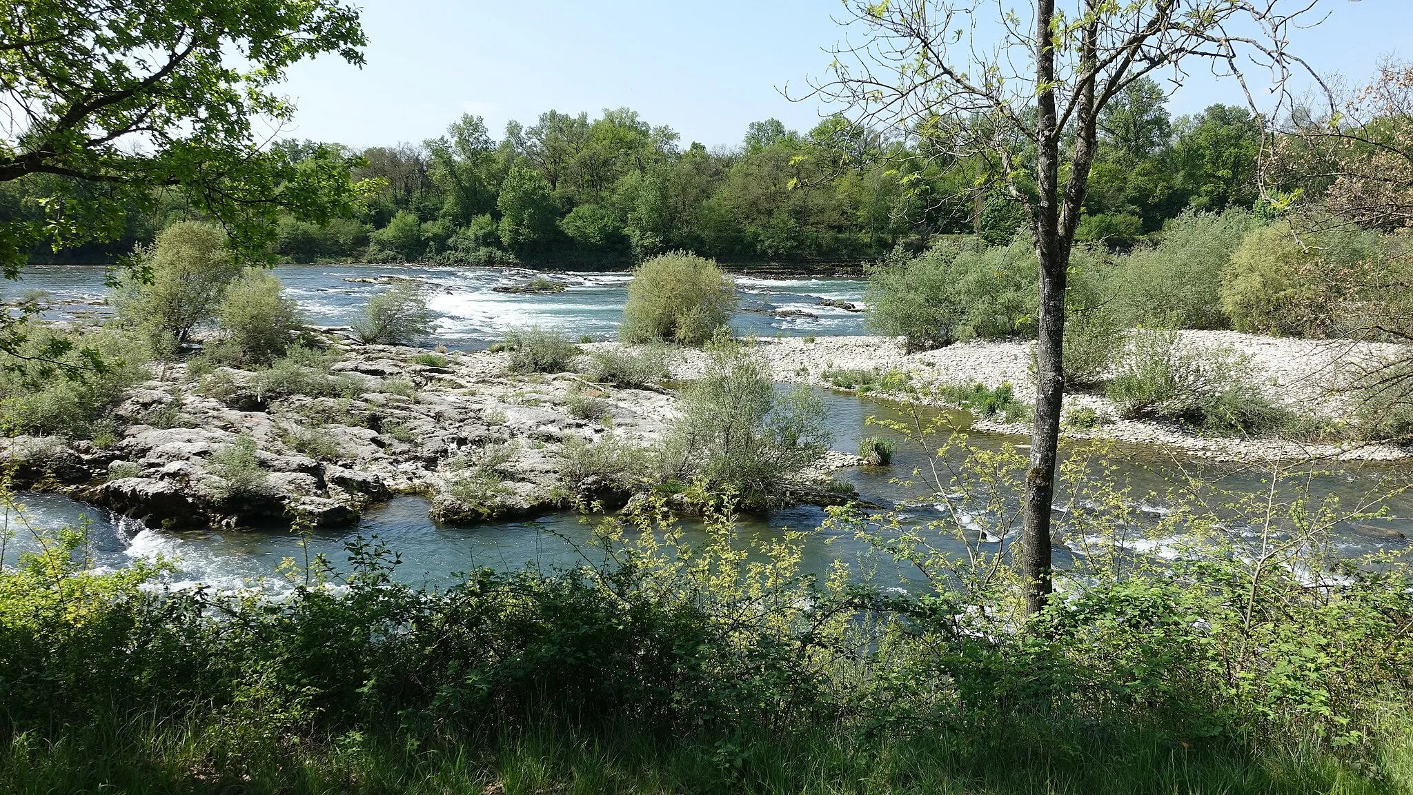 Photo showing: Efringen-Kirchen - Isteiner Rheinschwellen02