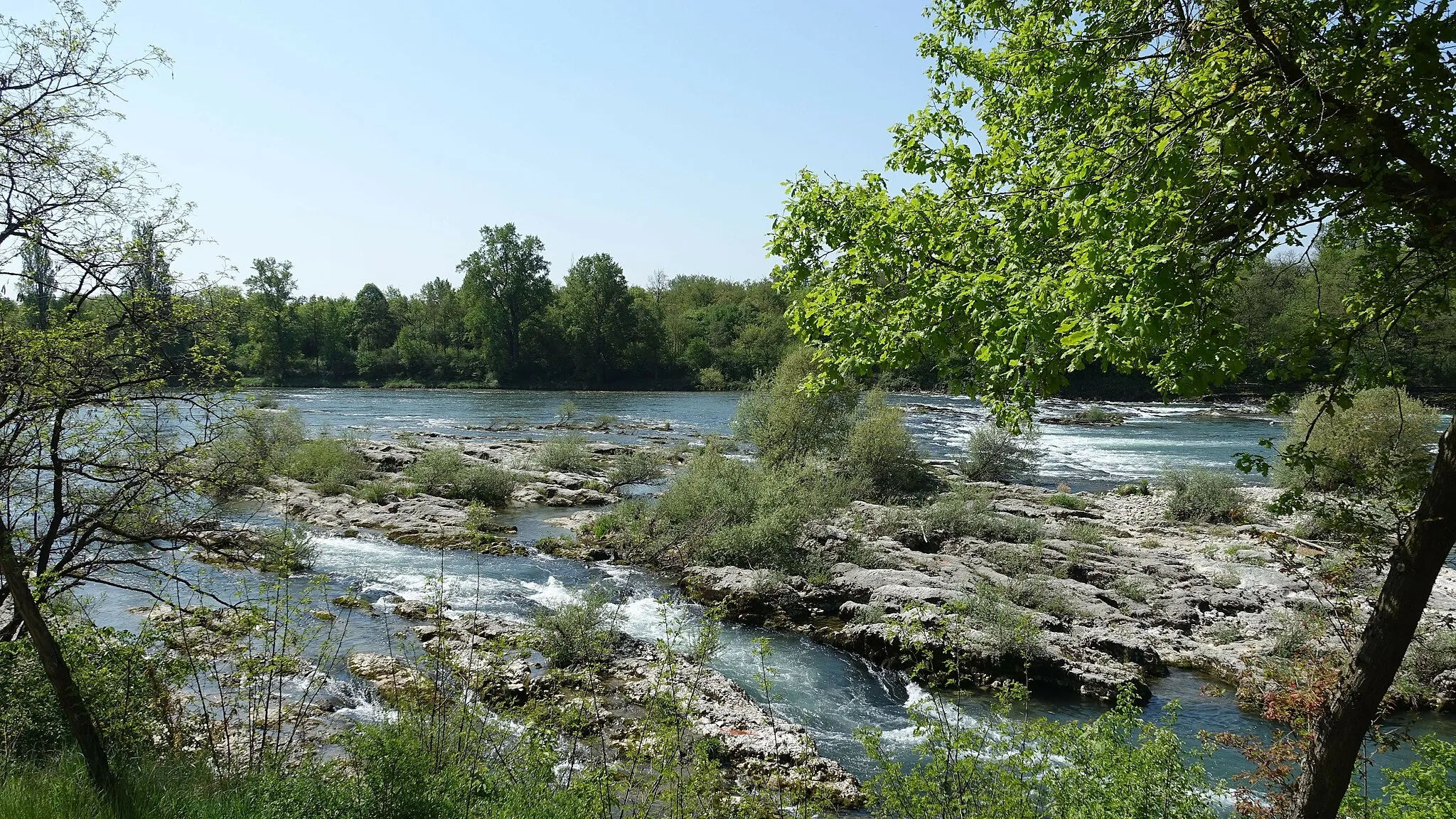 Photo showing: Efringen-Kirchen - Isteiner Rheinschwellen03