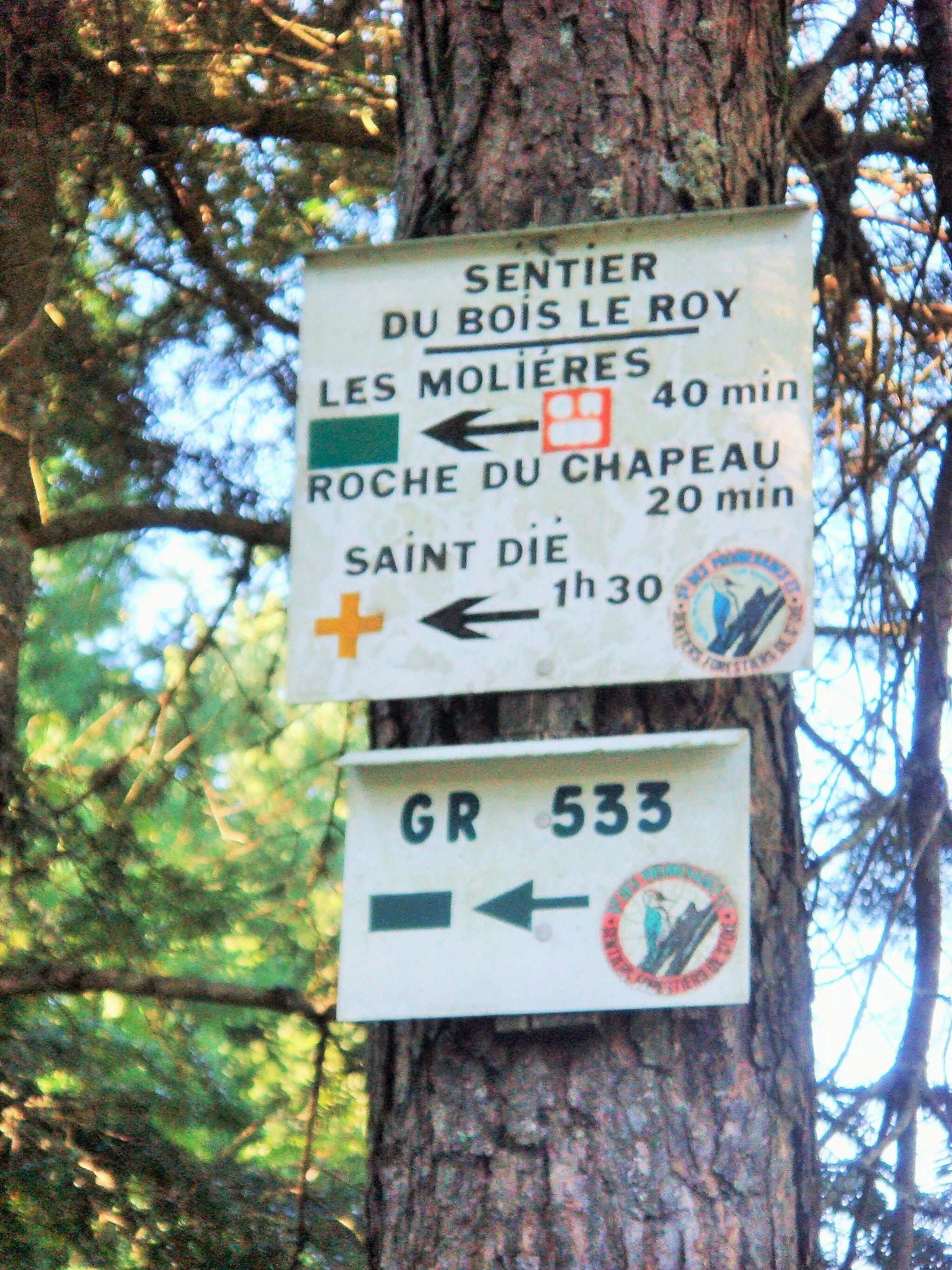 Photo showing: Sentier balisé dans le massif de l'Ormont; Proche du Sapin Sec sur la commune de Saint-Dié-des-Vosges (parcours du GR 533). Balisage du Club vosgien effectués sous l'égide de la Société des promenades et sentiers forestiers de Saint-Dié