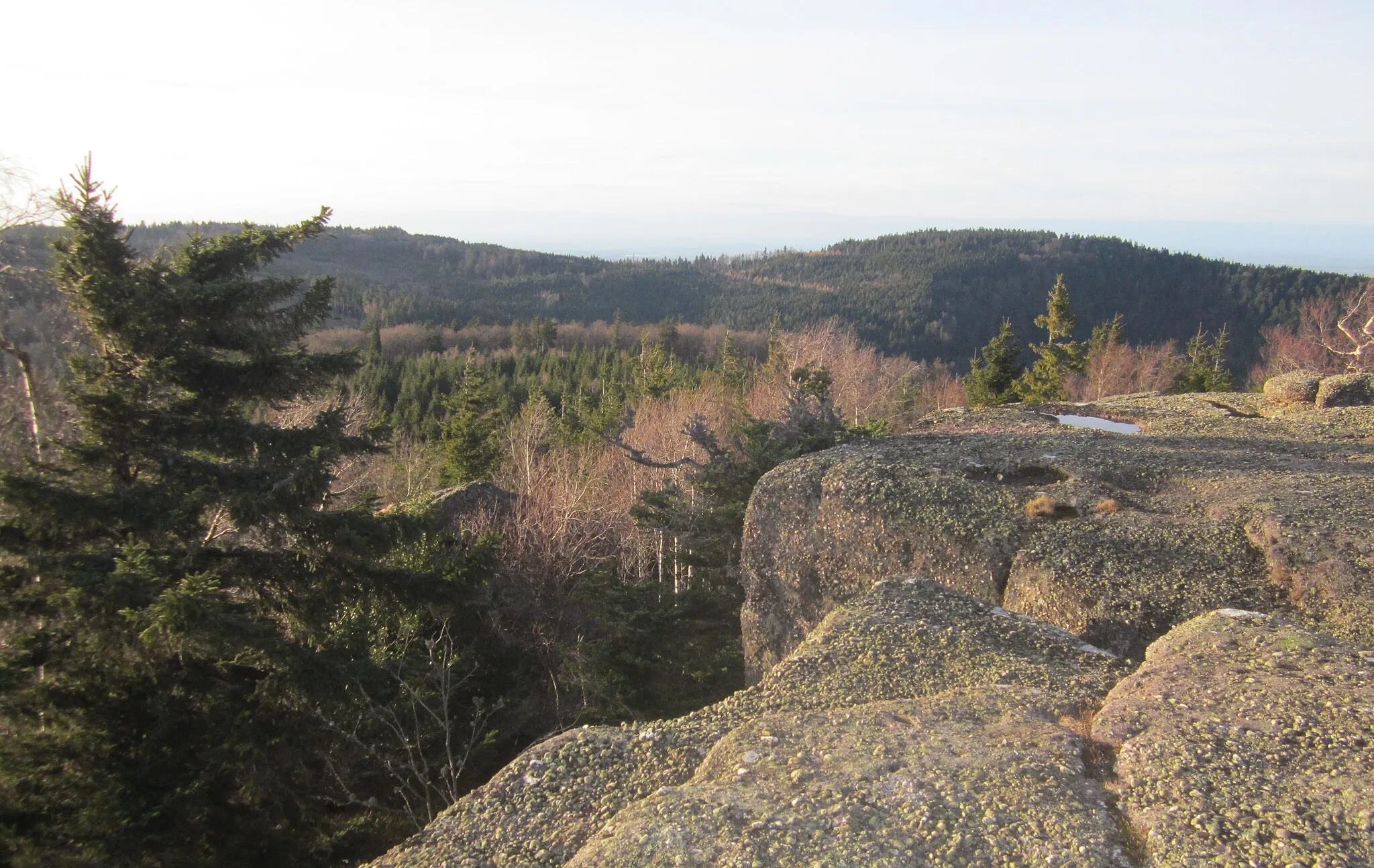 Photo showing: Vue du sommet du Rocher de Mutzig (France, Vosges, Bas-Rhin) en direction du Nord-Ouest