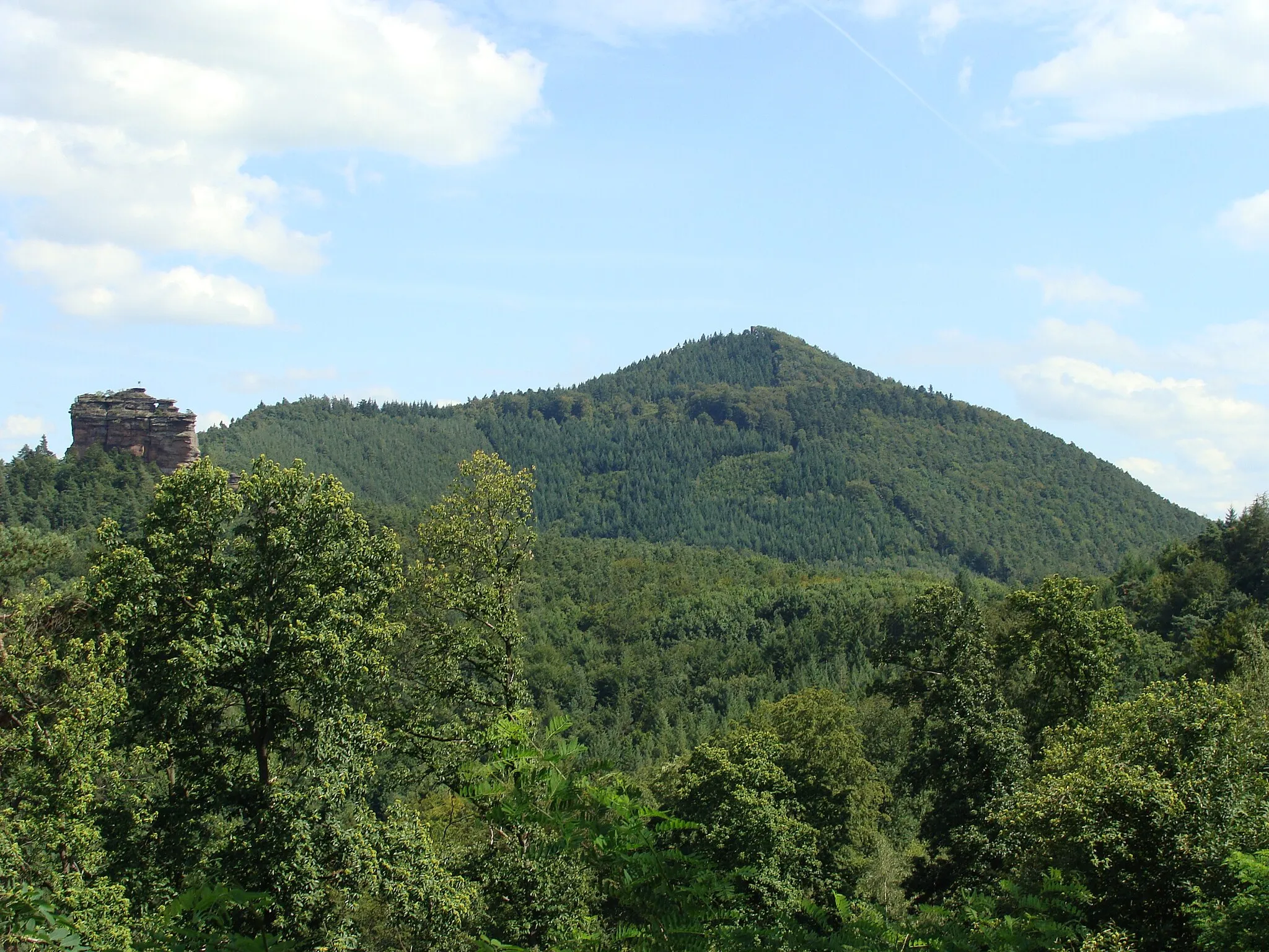 Photo showing: Rehberg mountain in palatinate forest (577 m)