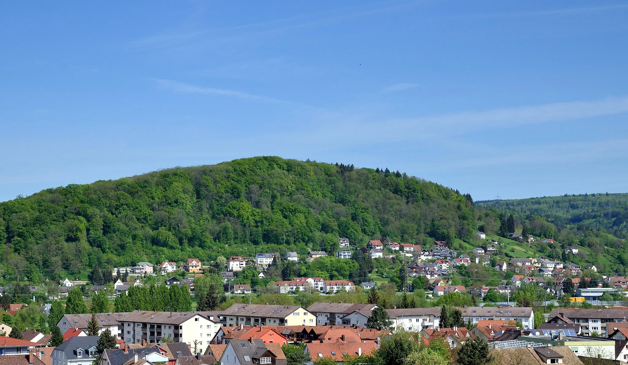 Photo showing: Lörrach-Hauingen: Lingert forest