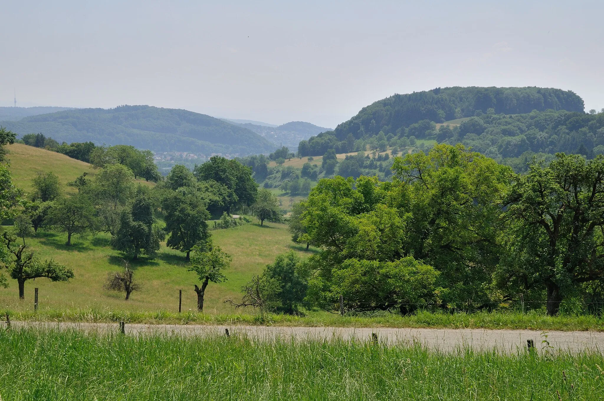 Photo showing: Hauingen: valley of Soormatt