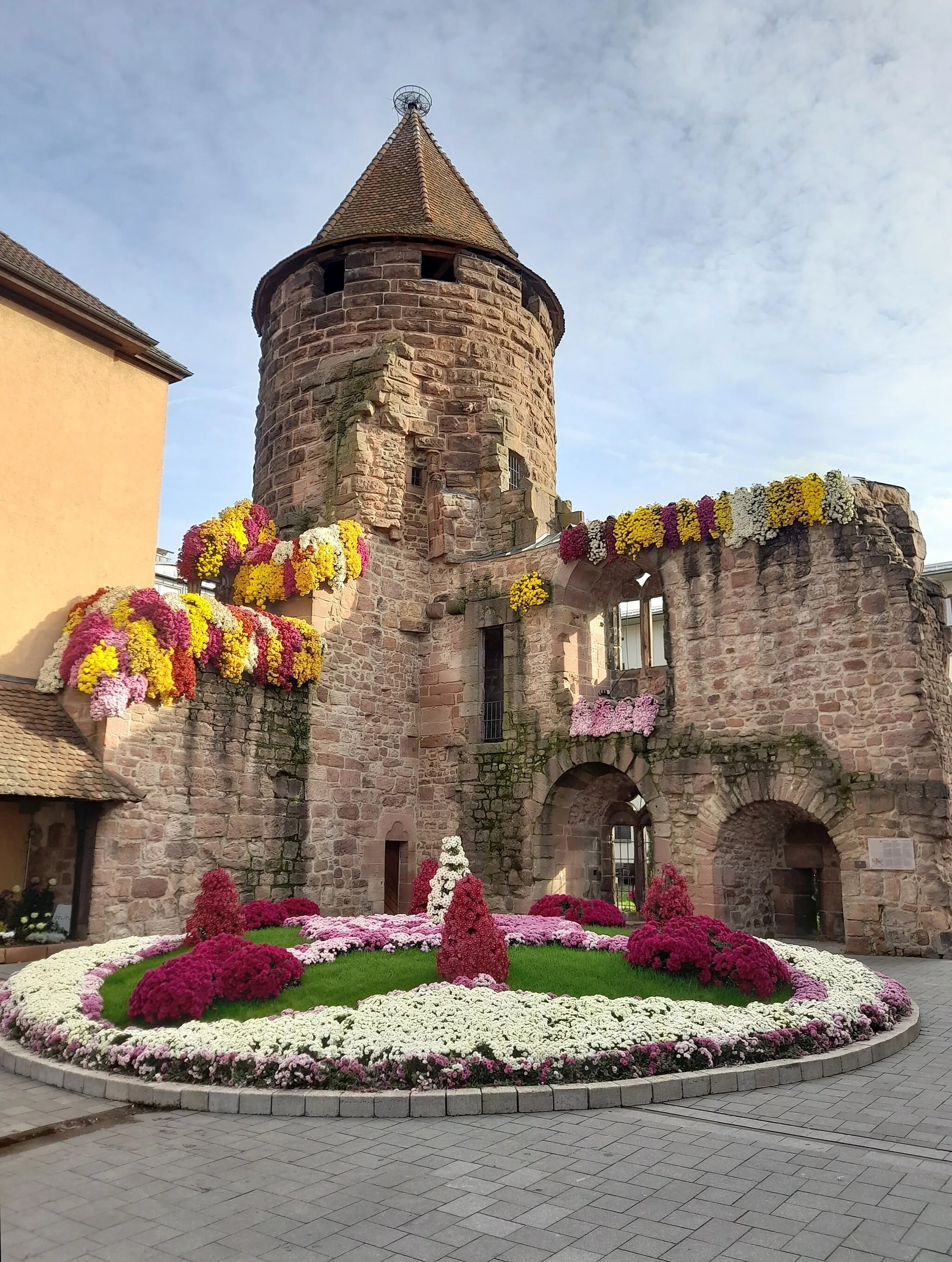 Photo showing: Der historische Storchenturm geschmückt mit Chrysanthemen im Jahr 2022