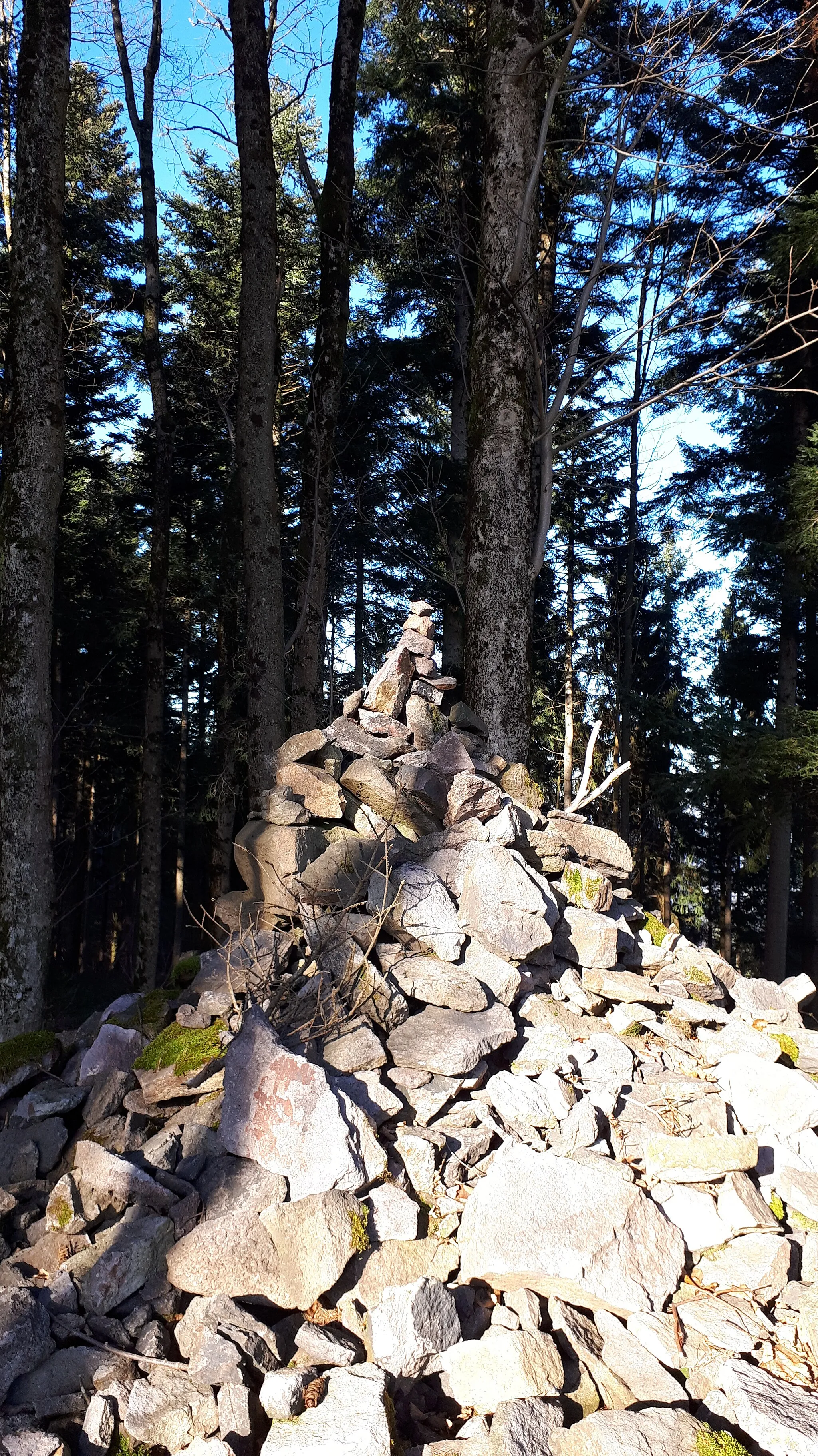 Photo showing: On the Steinfirst Mountain above Gengenbach