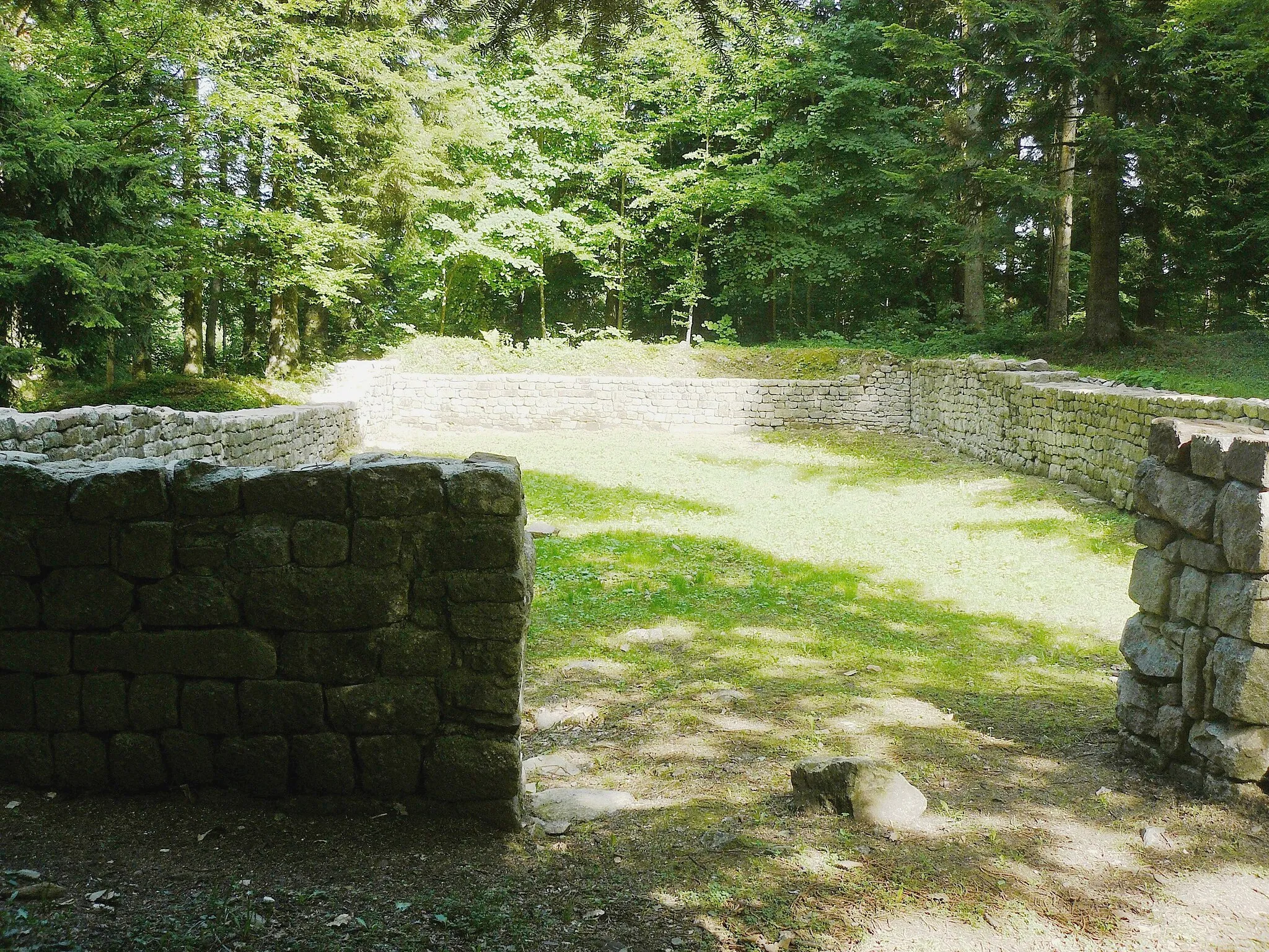 Photo showing: Ruines du couvent de Schwartzenthann à Wintzfelden, hameau de Soultzmatt