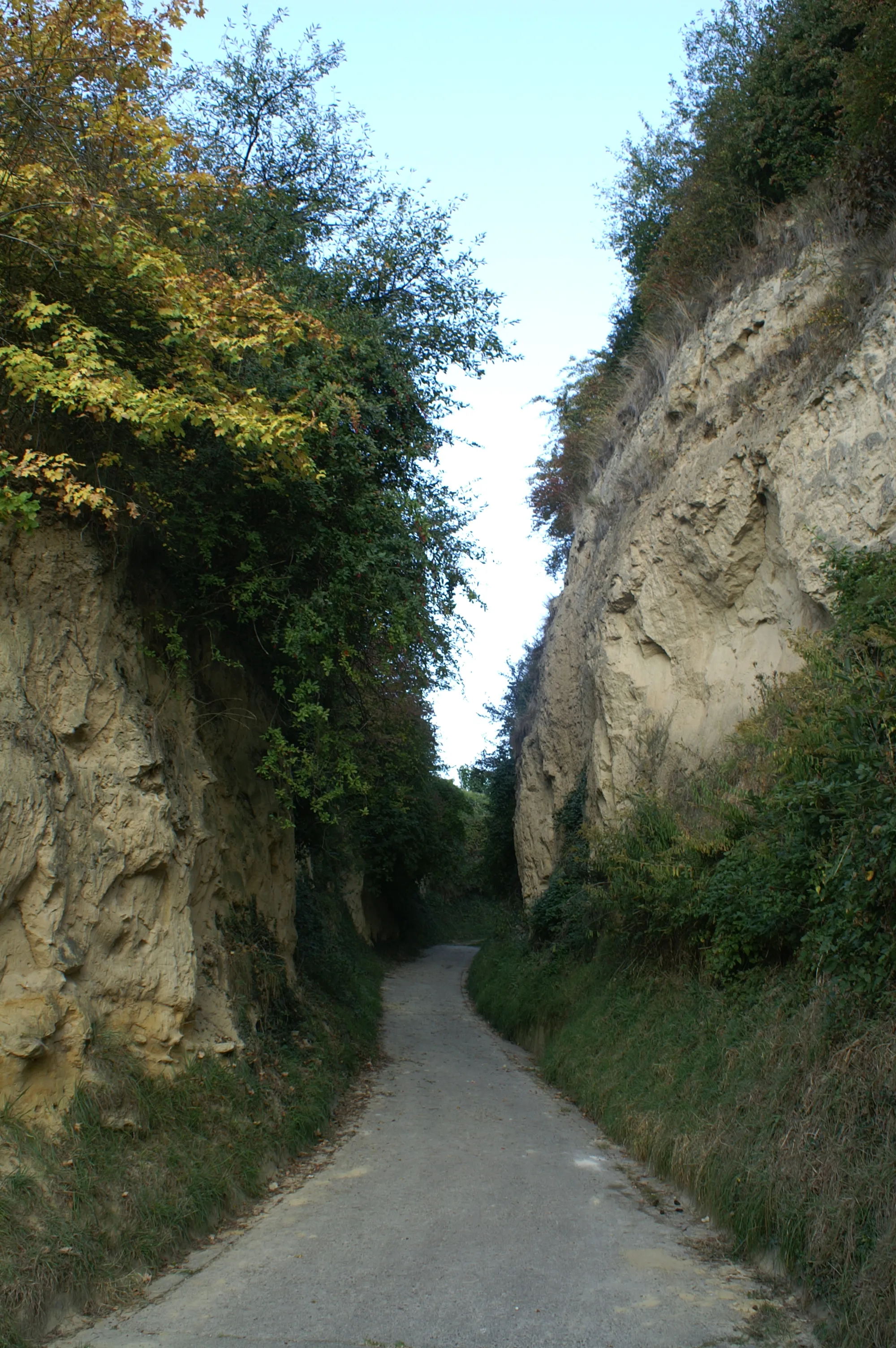 Photo showing: Lößhohlgasse Eichberg in Vogtsburg-Bickensohl im Kaiserstuhl. Die bis zum 15 Meter tiefe und 300 Meter lange Hohlgasse steht unter Naturschutz.