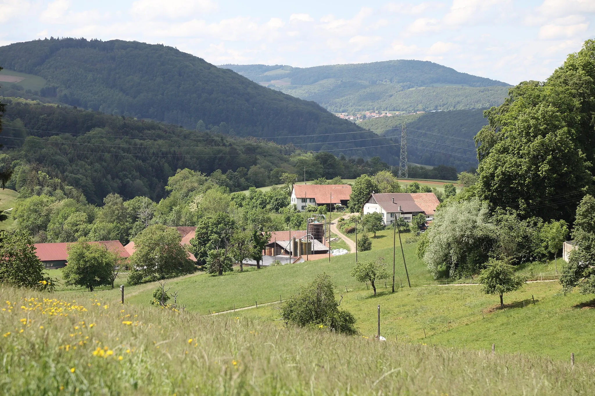 Photo showing: Der Siedlungsflecken Ring, gehört zur Gemeinde Kleinlützel.