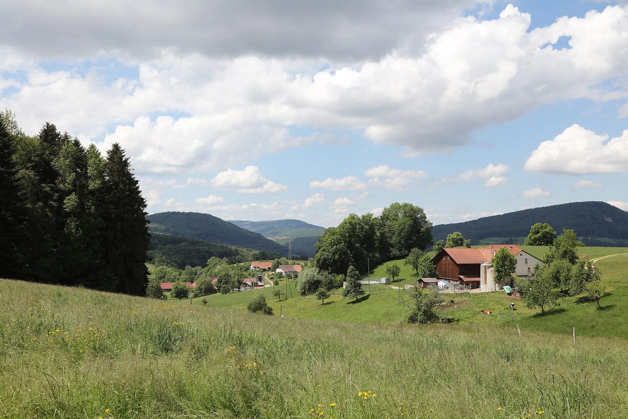 Photo showing: Der Siedlungsflecken Ring, gehört zur Gemeinde Kleinlützel.