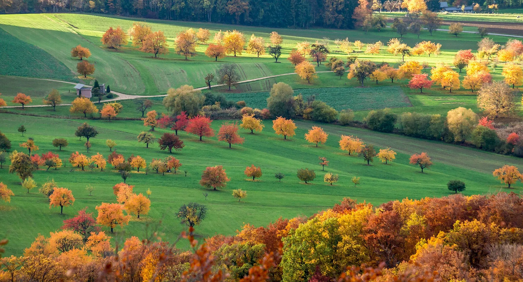 Photo showing: Le Sundgau