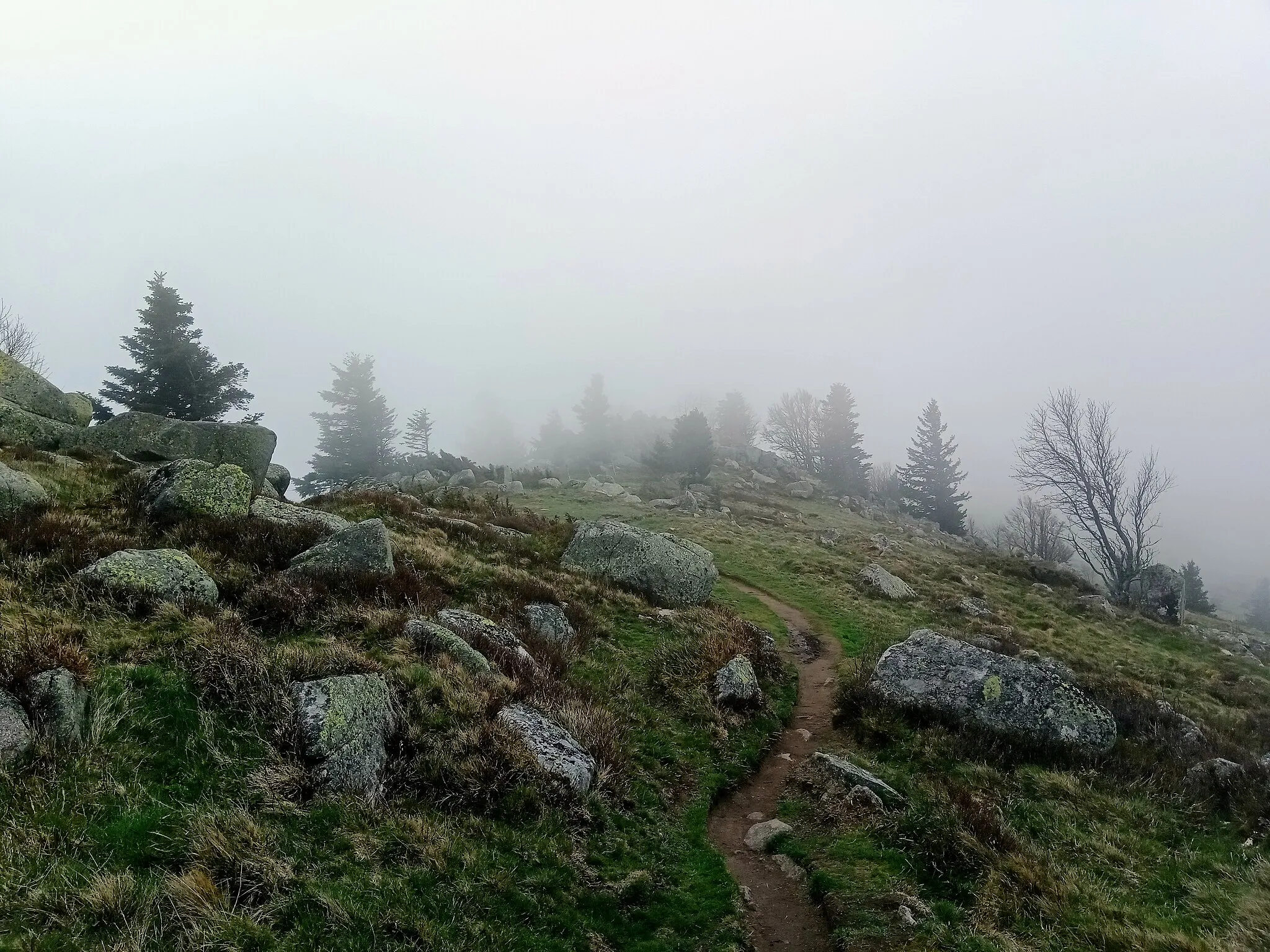 Photo showing: Rochers au Steinberg, Haut-Rhin, France