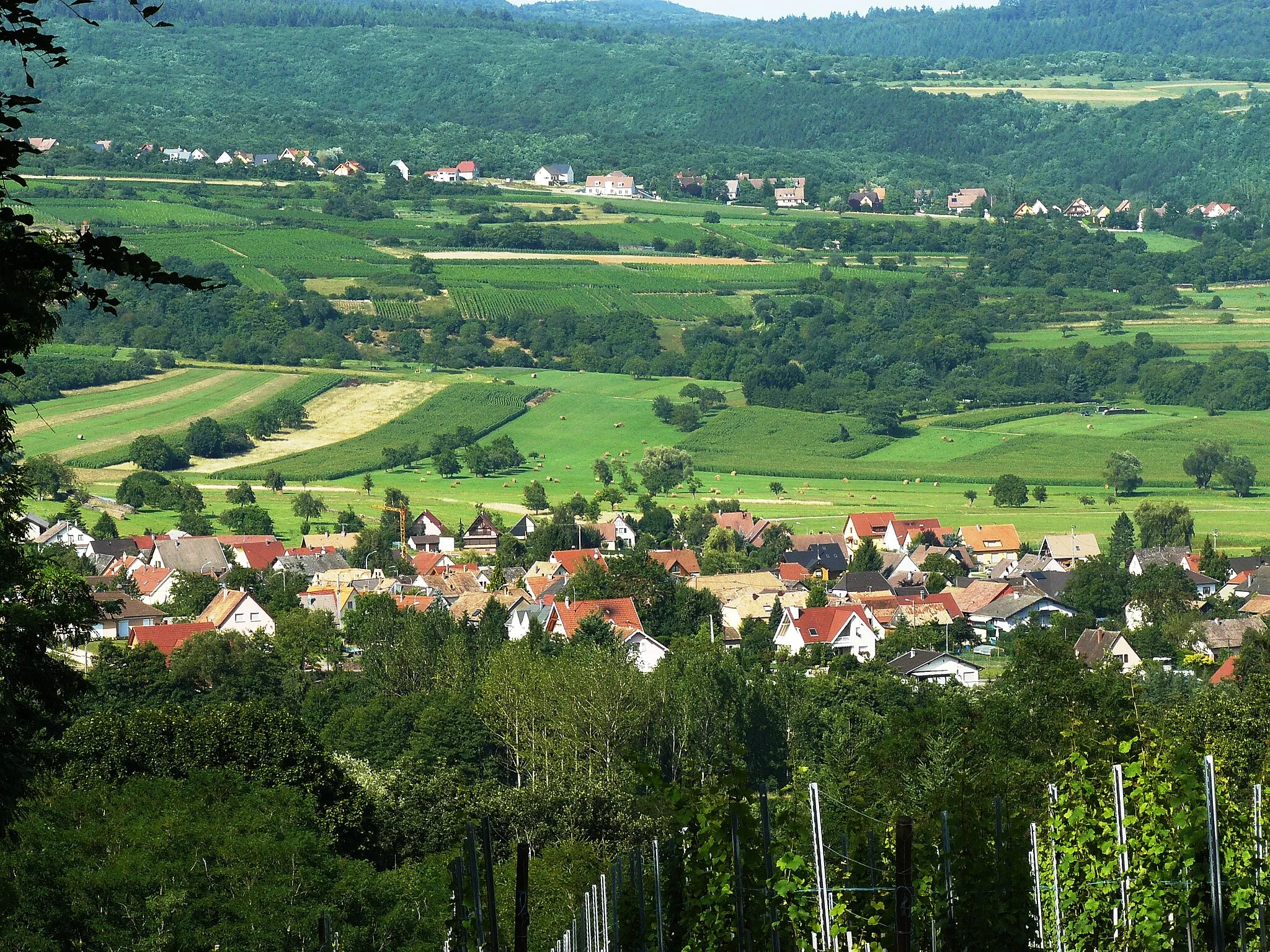 Photo showing: Le hameau de Wintzfelden observé depuis le site de Schwartzenthann