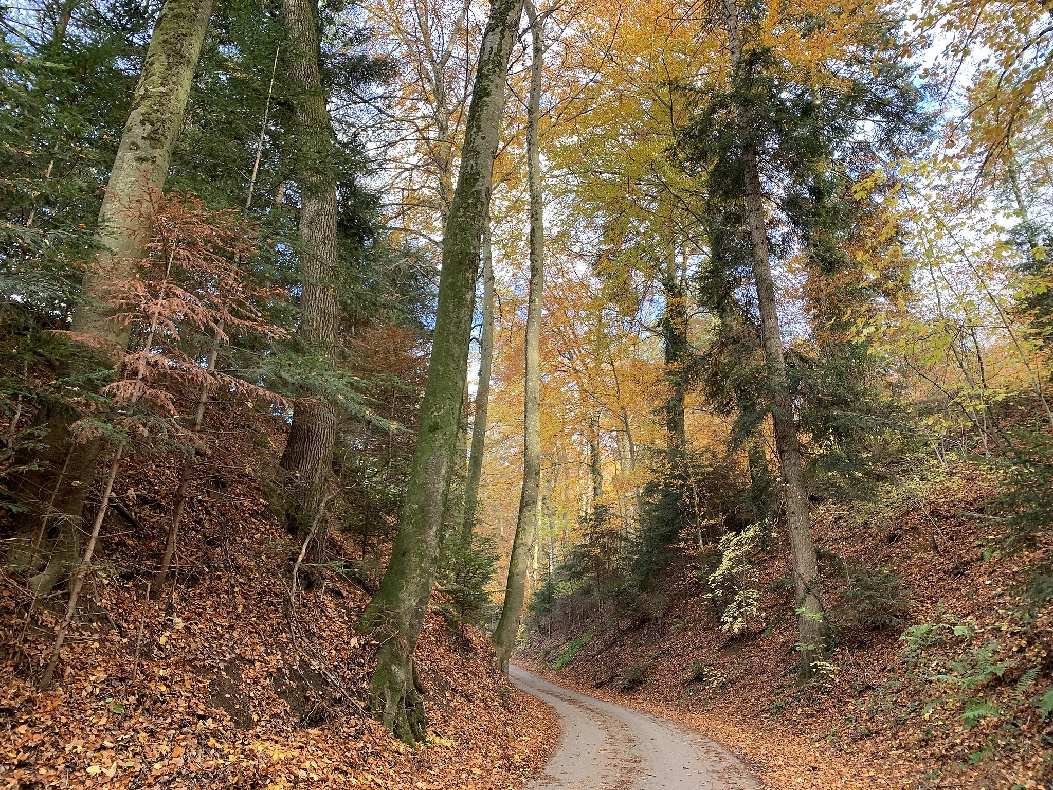 Photo showing: The street called Leimbachweg (formerly Zinken) becomes a field road and leads into a valley of Möhlin.