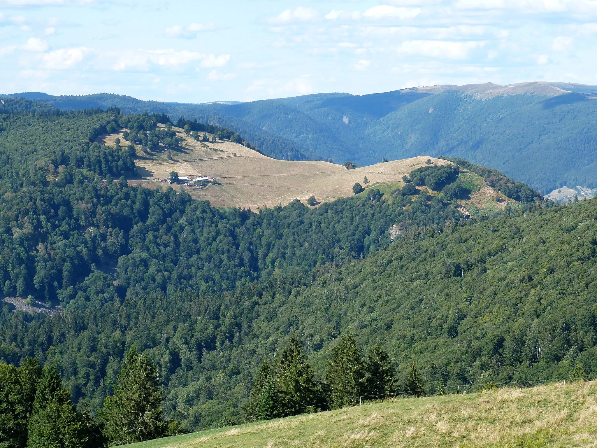 Photo showing: La chaume de Felsach vue depuis le Drumont (massif des Vosges).