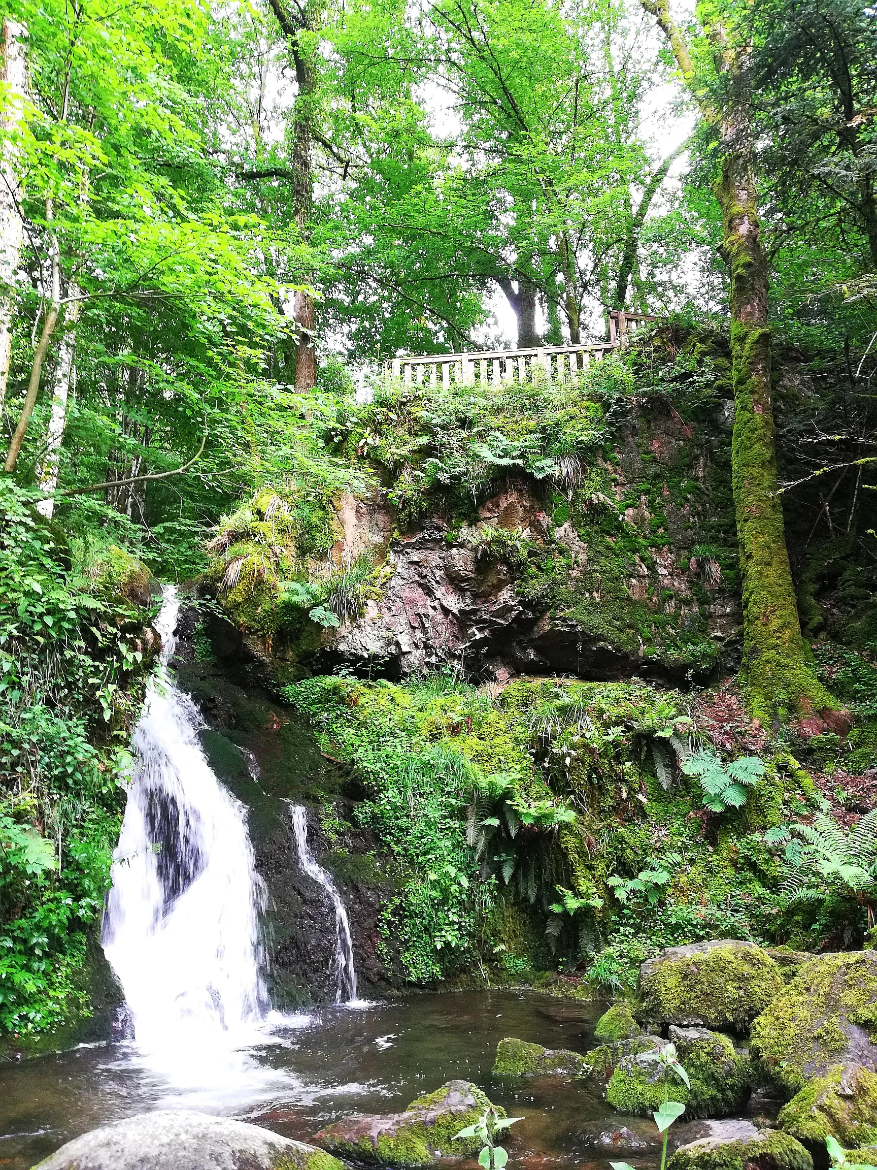 Photo showing: Cascade du Bubalafels - Moosch (68) par Michel QUIN - Licence libre de droit Creative Commons CC0 pour Wikipedia Commons