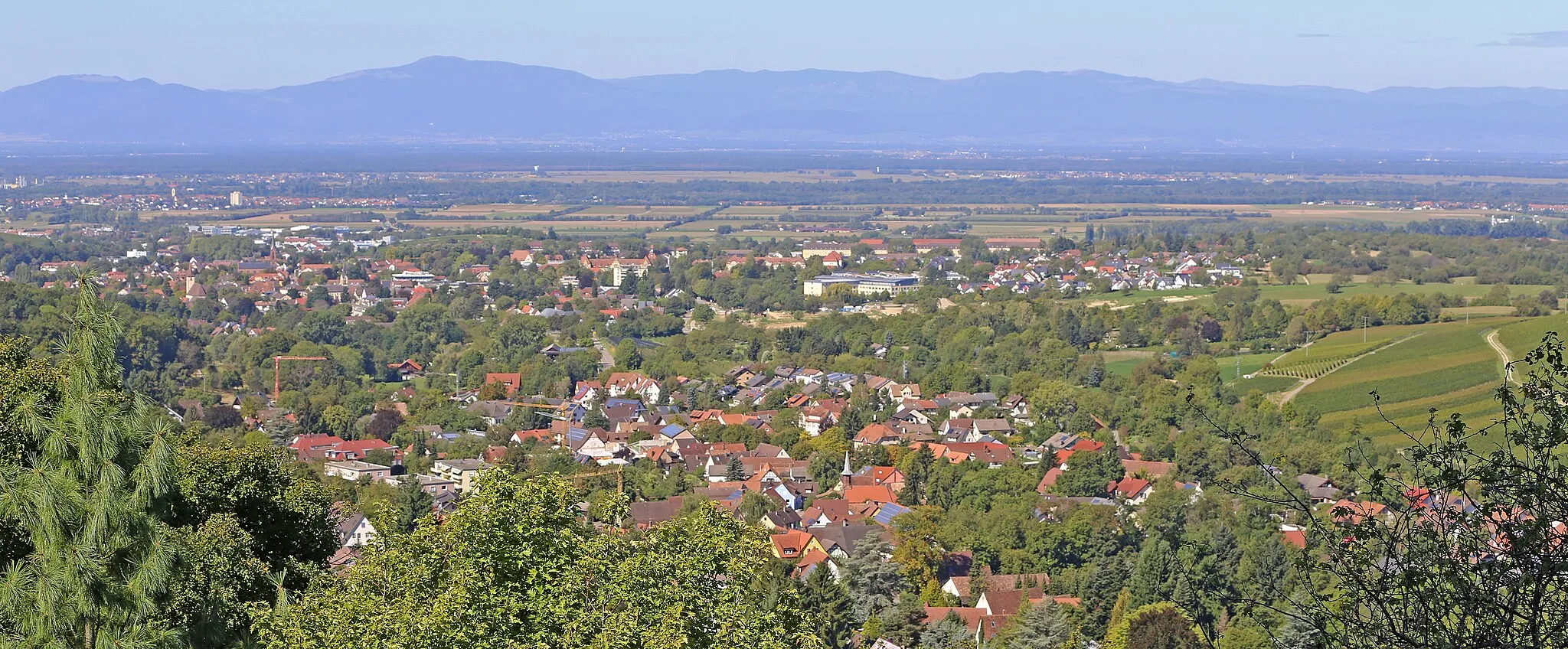 Photo showing: Badenweiler: Blick vom Aussichtspunkt Vogesenblick auf die Stadt Müllheim (Baden) und den Ortsteil Niederweiler. Im Hintergrund das Rheintal und die Vogesen.