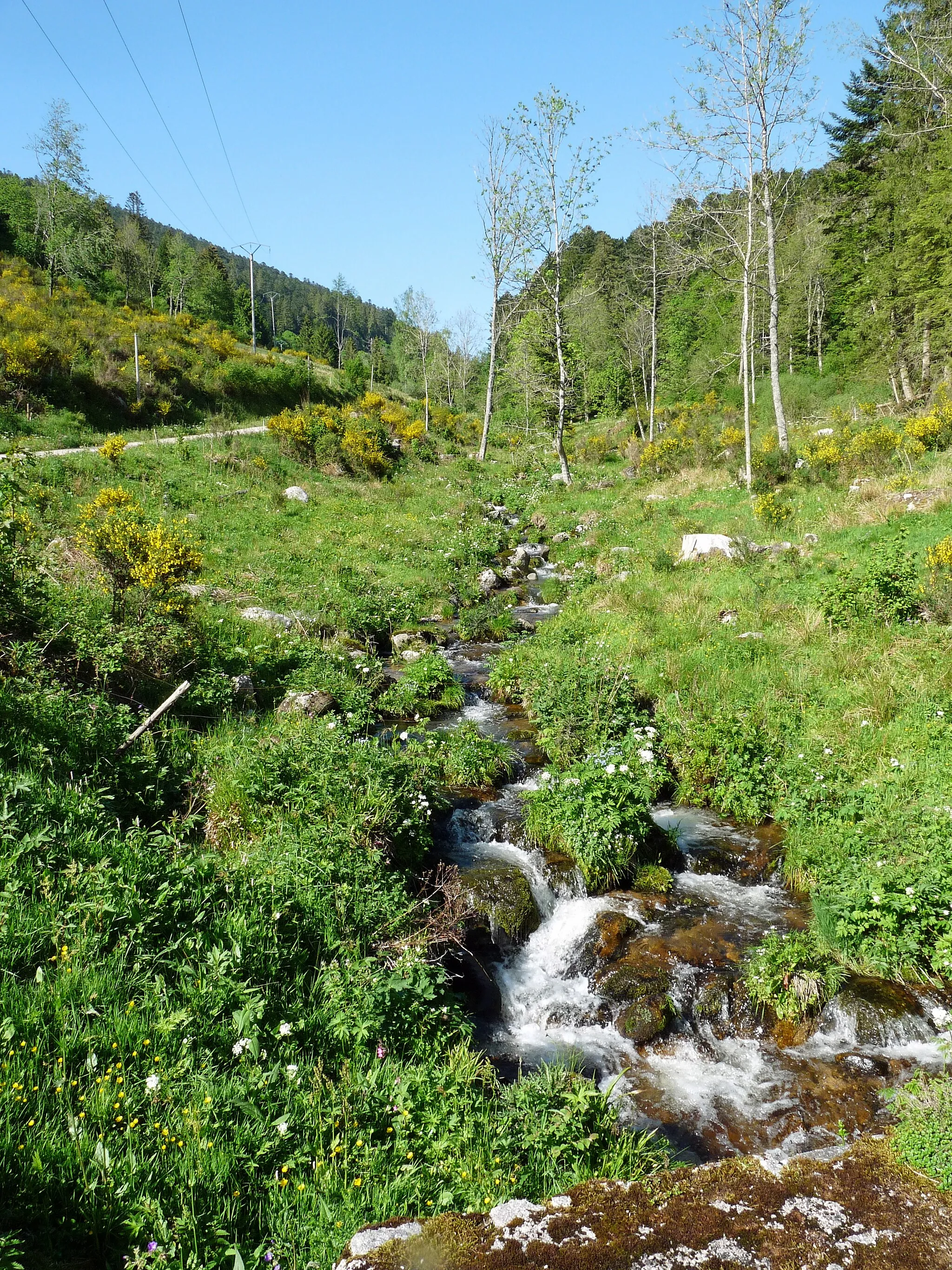 Photo showing: Plainfaing (Vosges) : le Rudlin au pied de la cascade