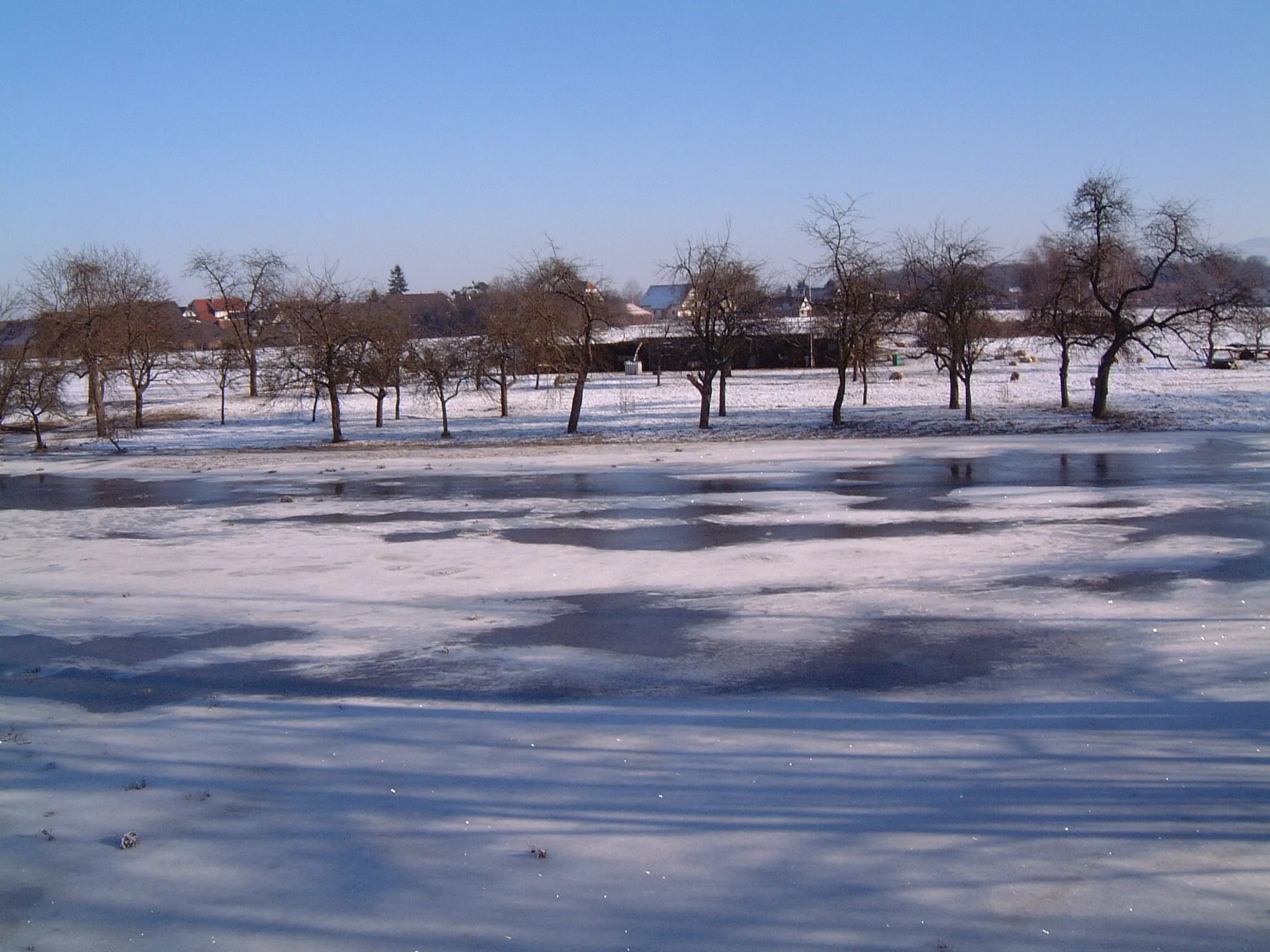 Photo showing: Winterliche Landschaft bei Linx, Rheinau