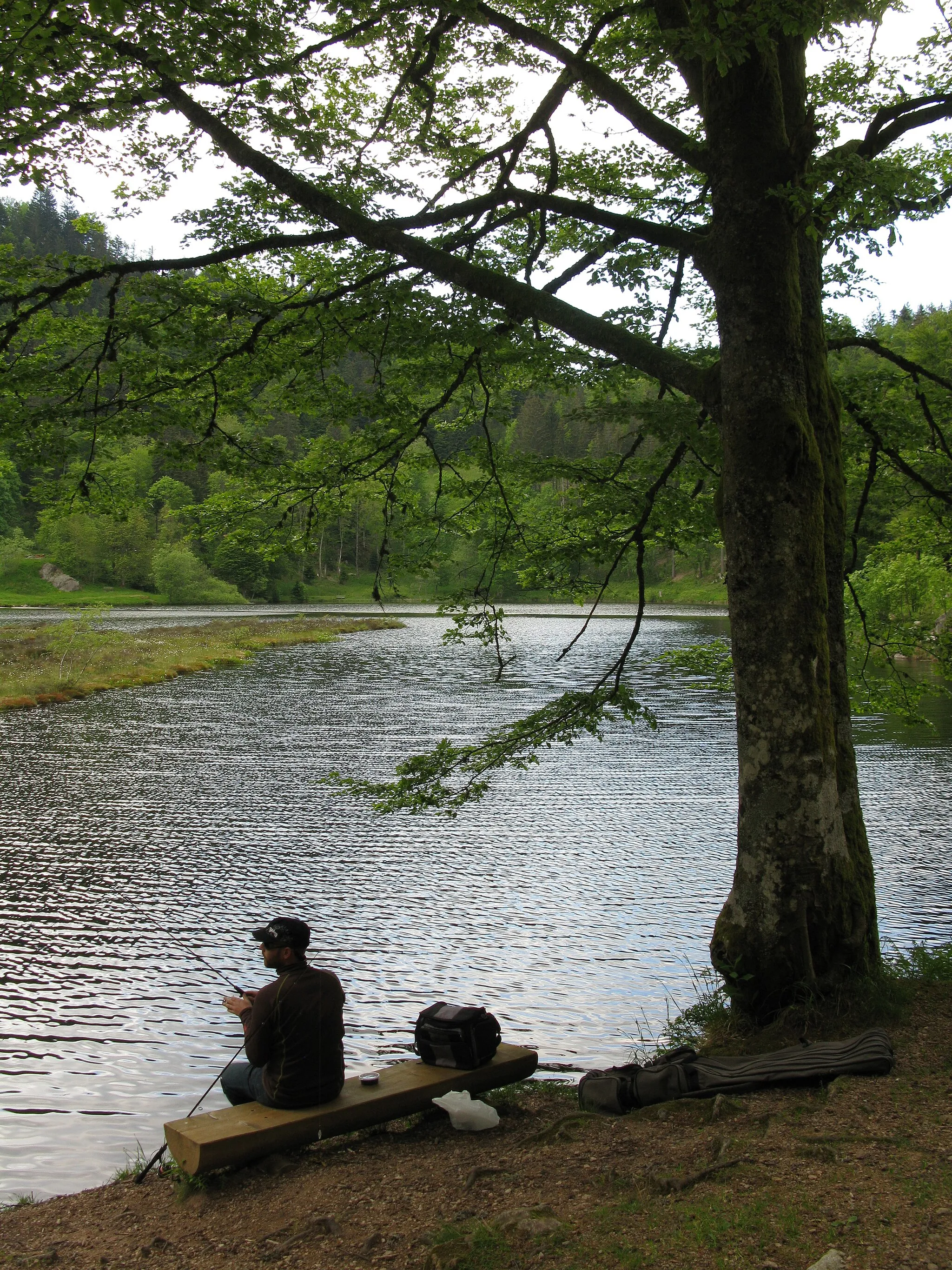 Photo showing: Nonnenmattweiher in Neuenweg-Heubronn