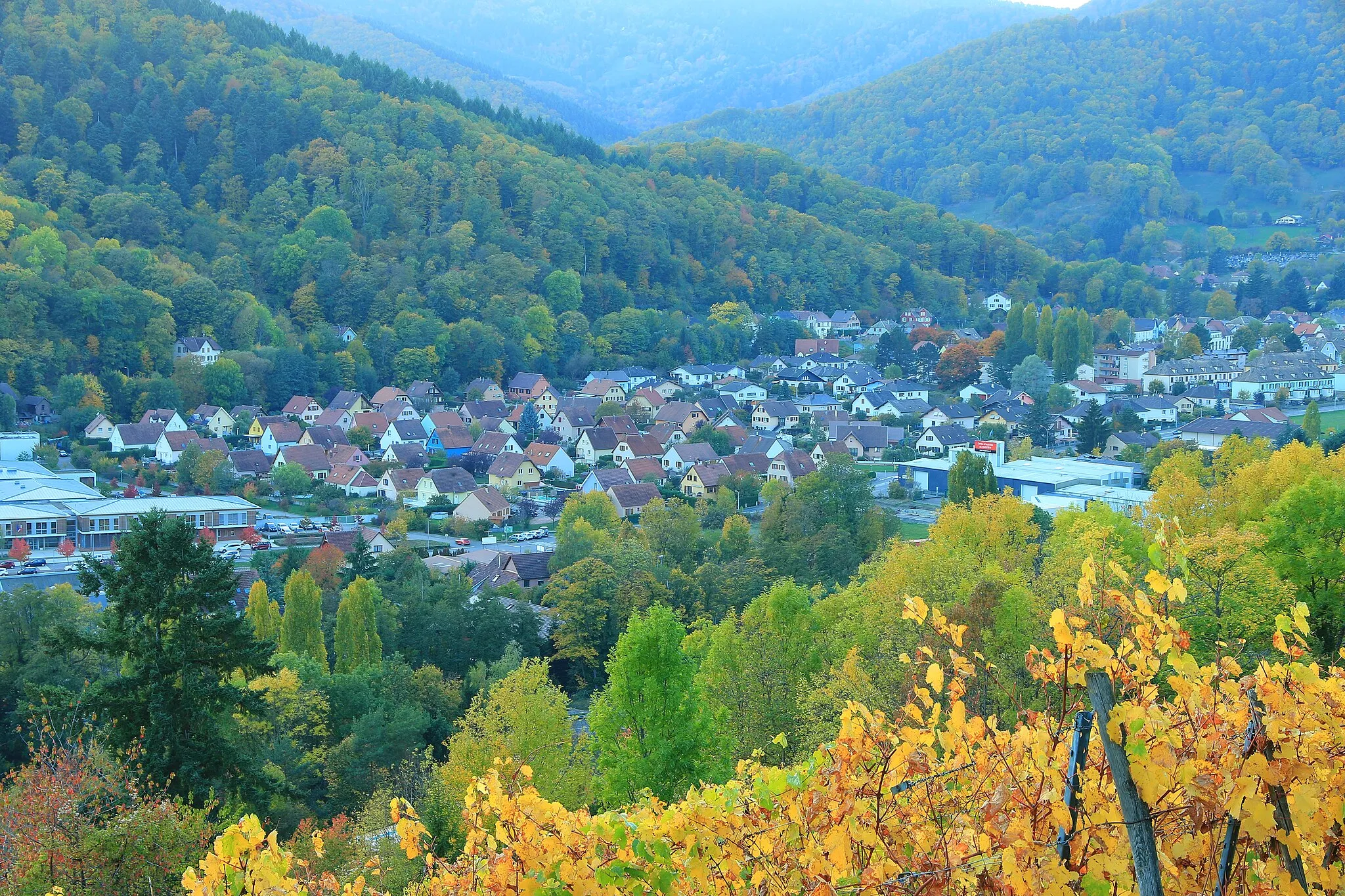 Photo showing: Les "Burgmatten" (les prés du château), situés dans le bas du village.