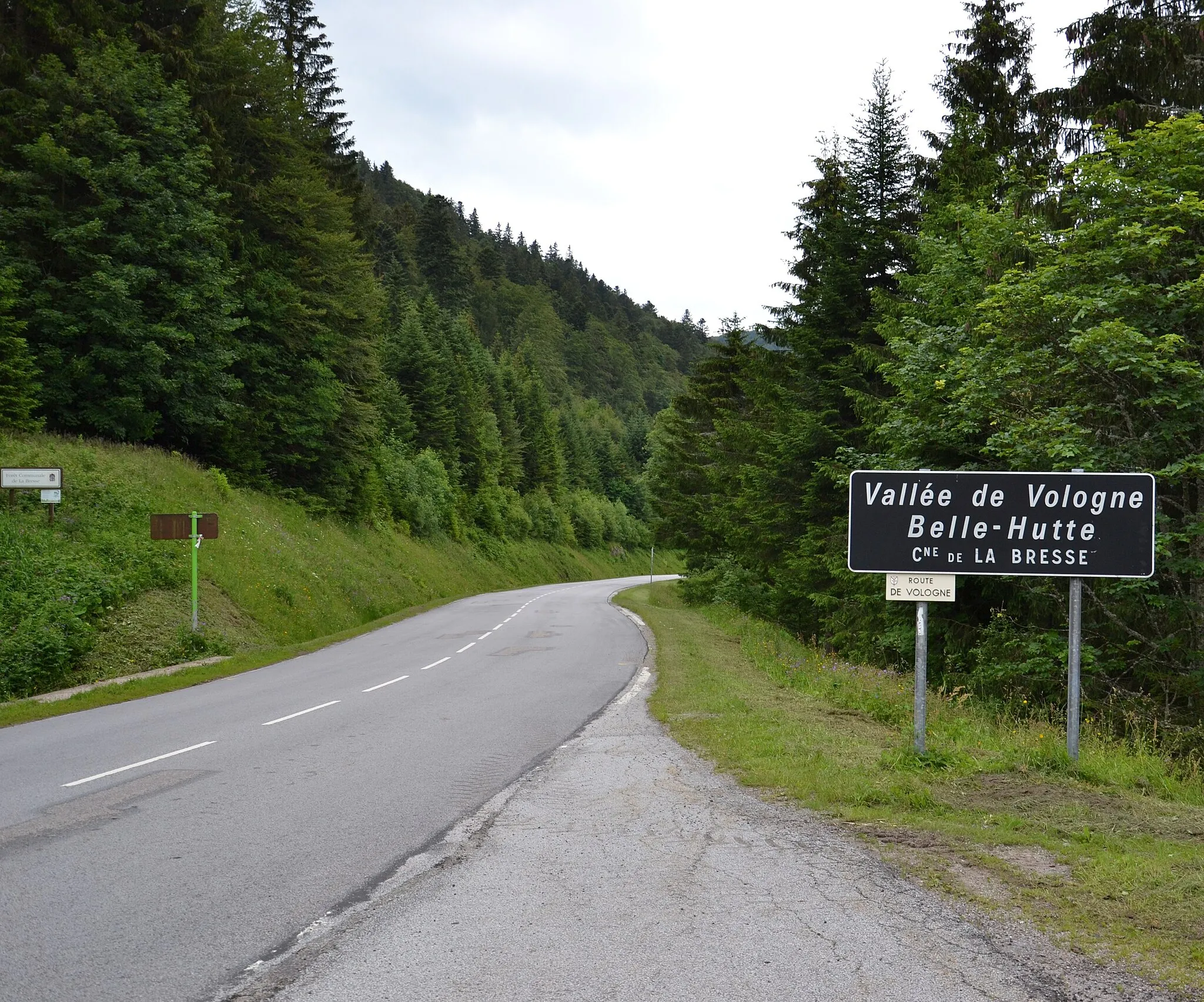 Photo showing: Col des Feignes, vue sur la descente vers La Bresse.