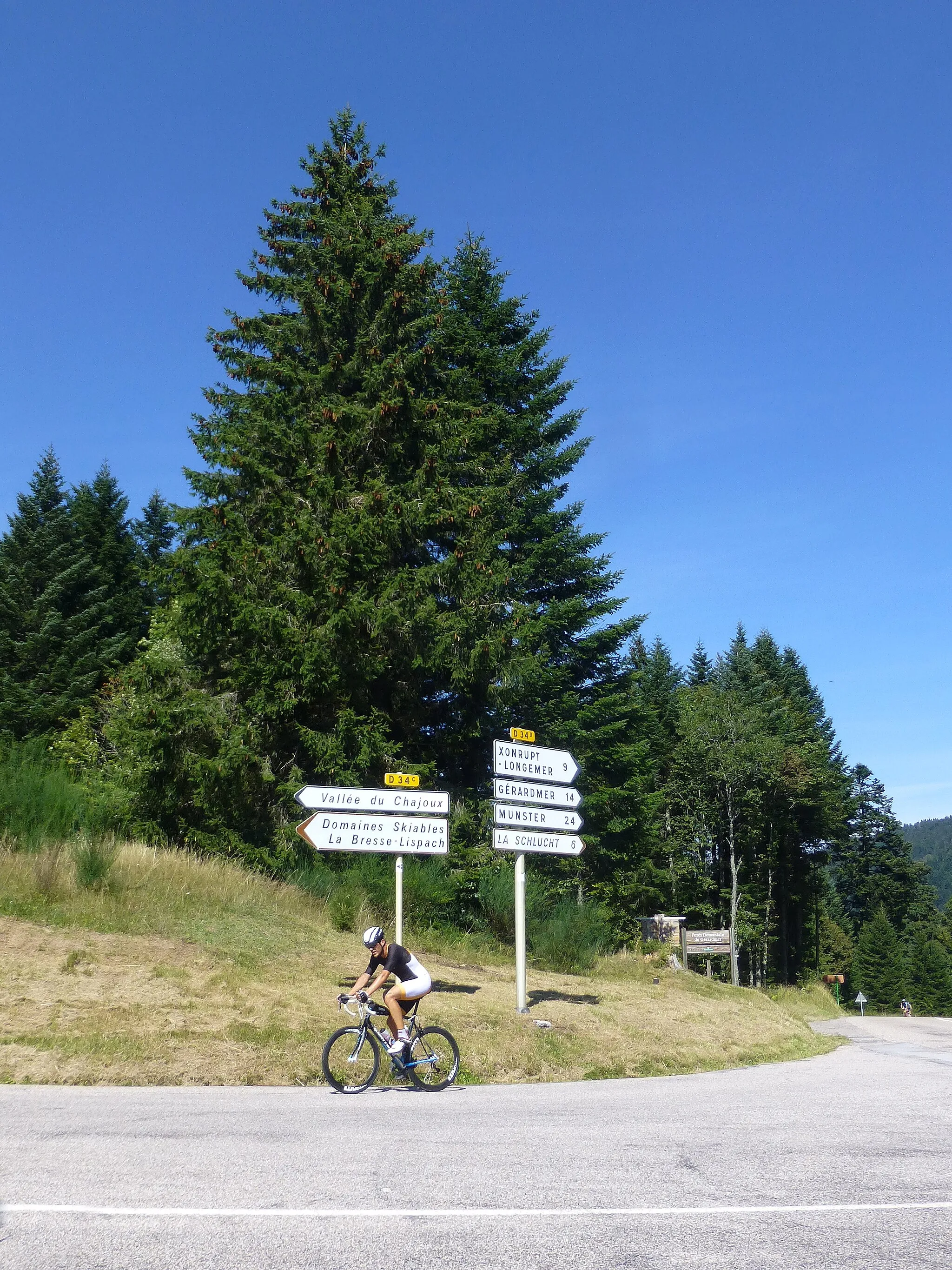 Photo showing: Col des Feignes (La Bresse, Vosges)