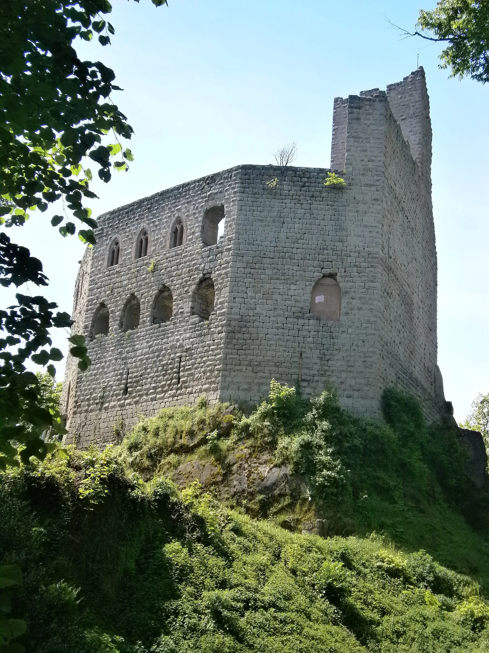 Photo showing: Spesbourg Castle (Alsace)