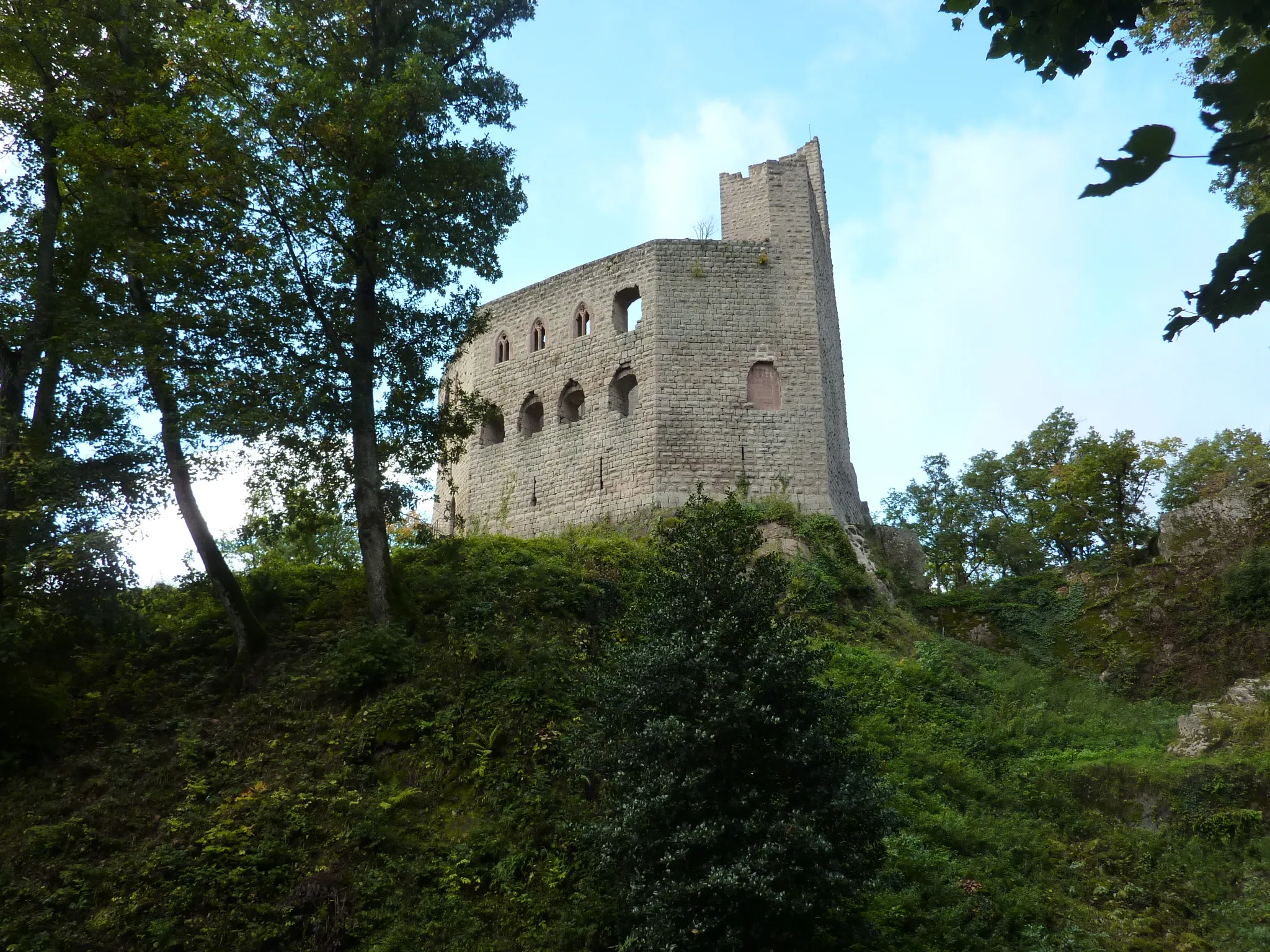 Photo showing: Château de Spesbourg