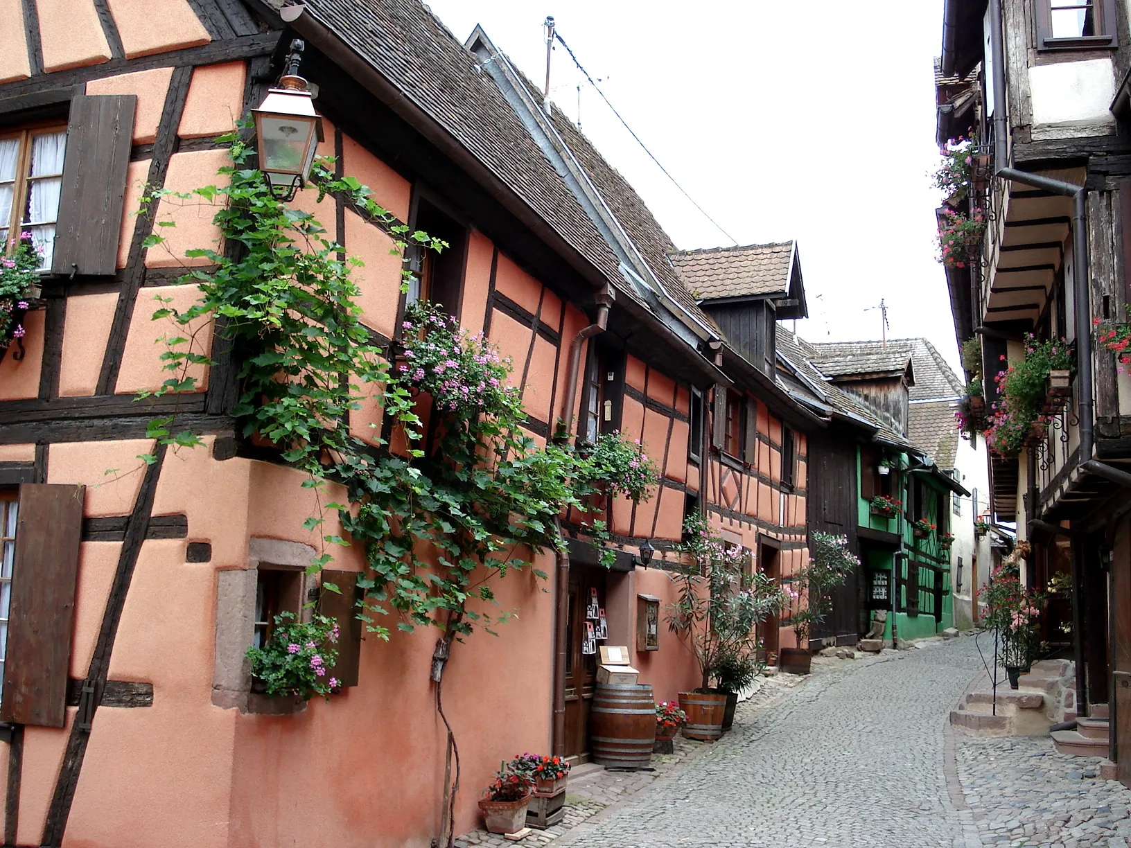 Photo showing: Riquewihr (Haut-Rhin, France): rue des Remparts, à l'extrémité ouest de la ville.