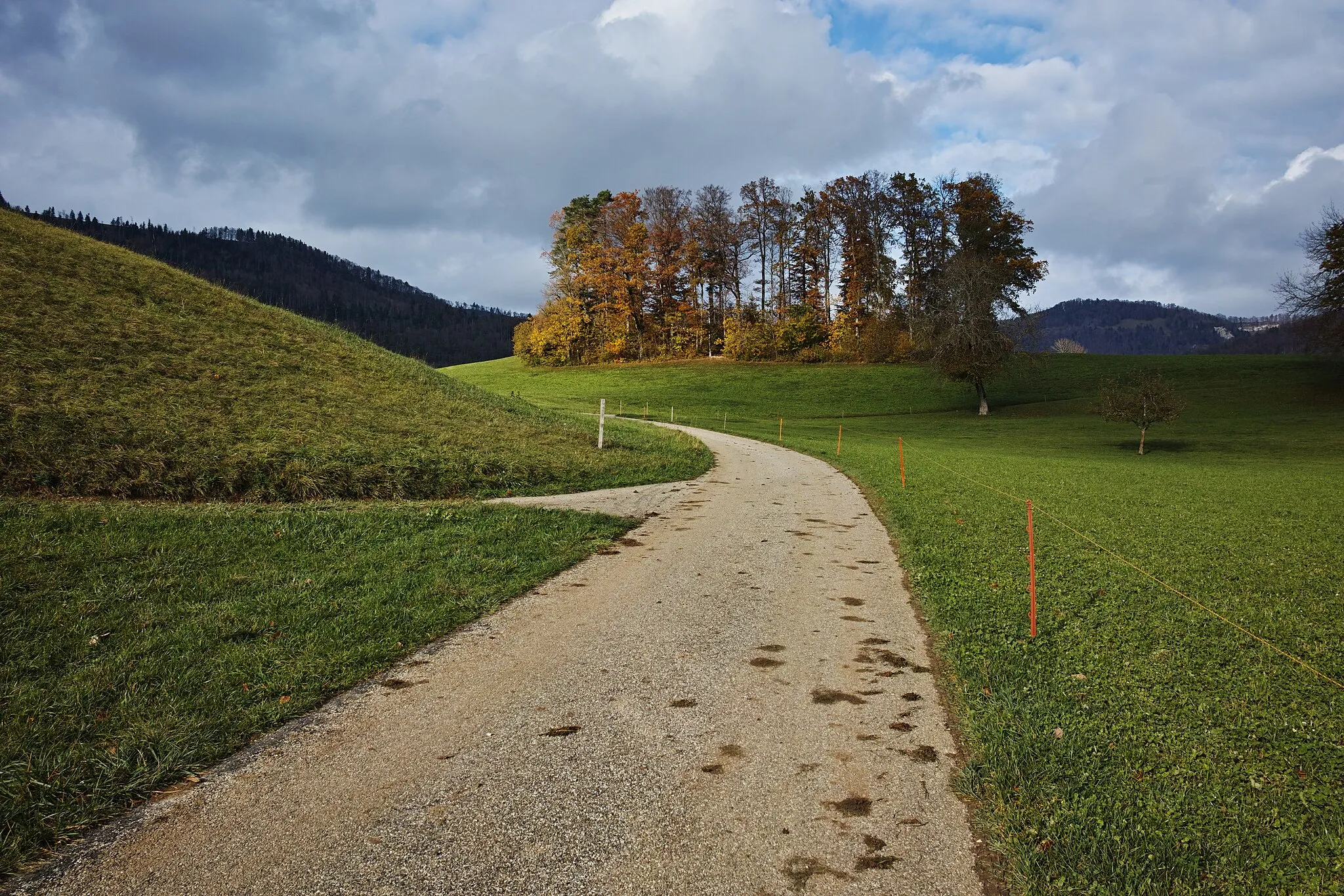 Photo showing: Old Passwang road above Mümliswil, canton of Solothurn, Switzerland. The old Passwang road's course on the south side of the pass is east of the current road.