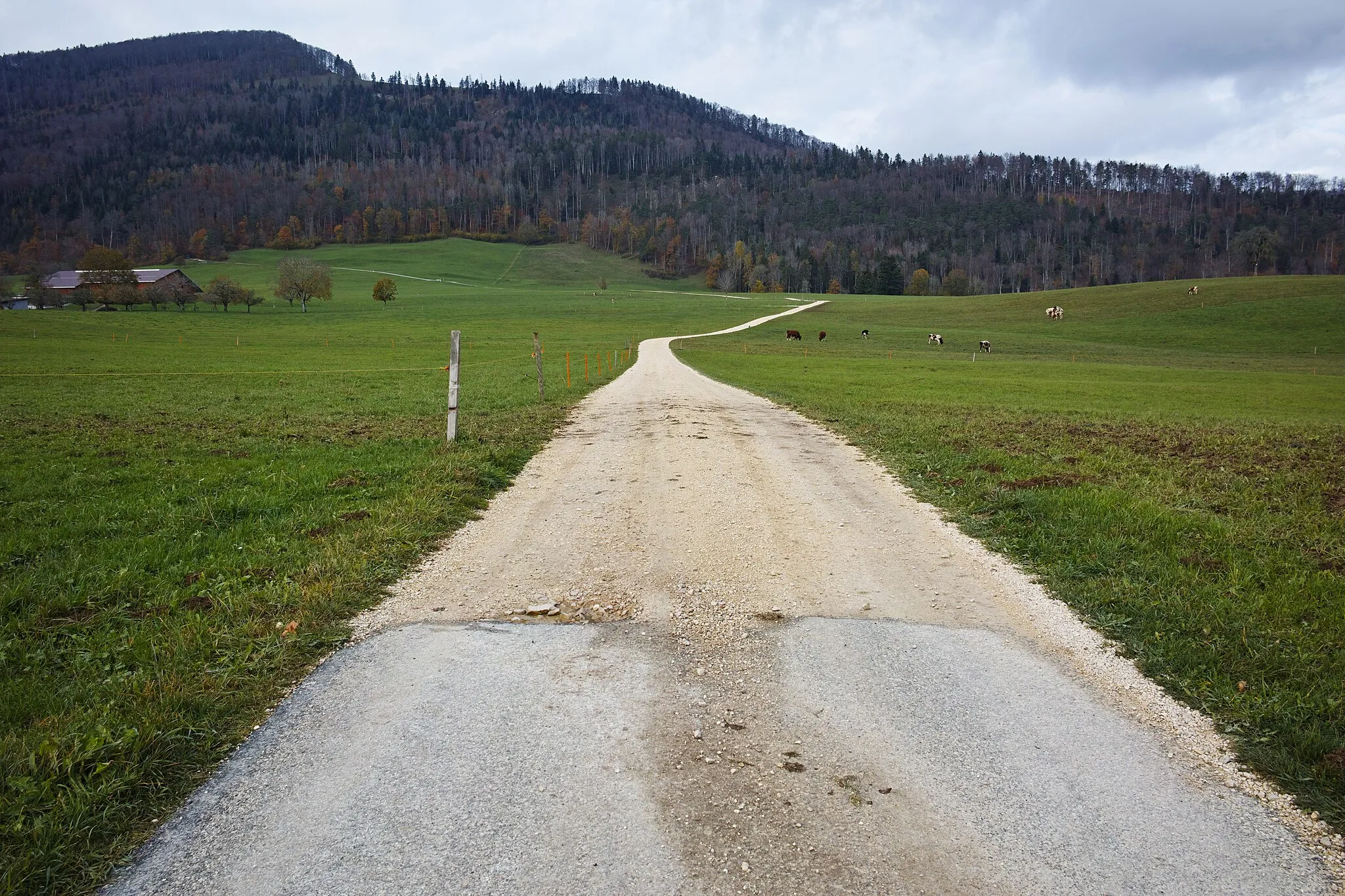 Photo showing: The old Passwang road above Mümliswil changes here from paved to a gravel road. The road's course on the south side of the pass is east of the current road.