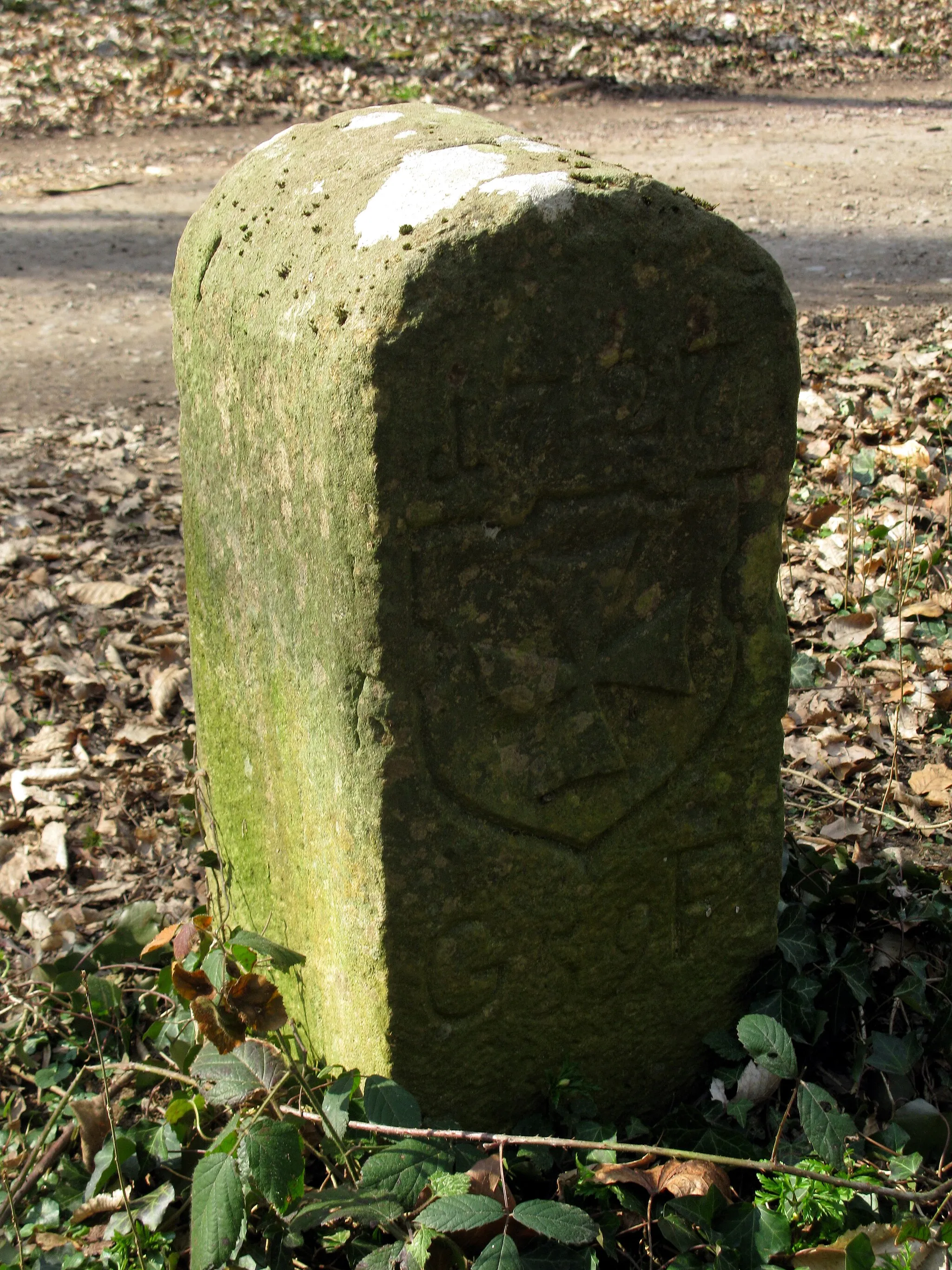 Photo showing: alter Grenzstein beim Honigbuck im Freiburger Mooswald