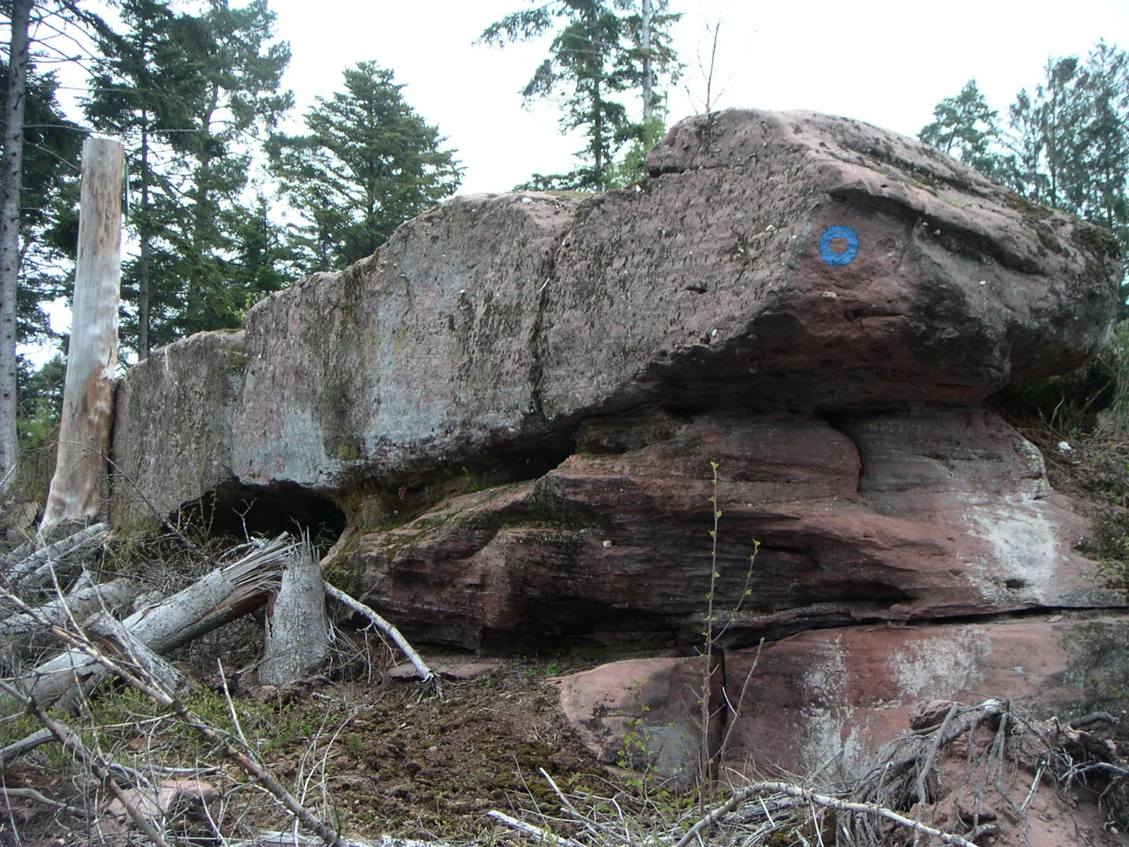 Photo showing: Block of conglomerate sandstone